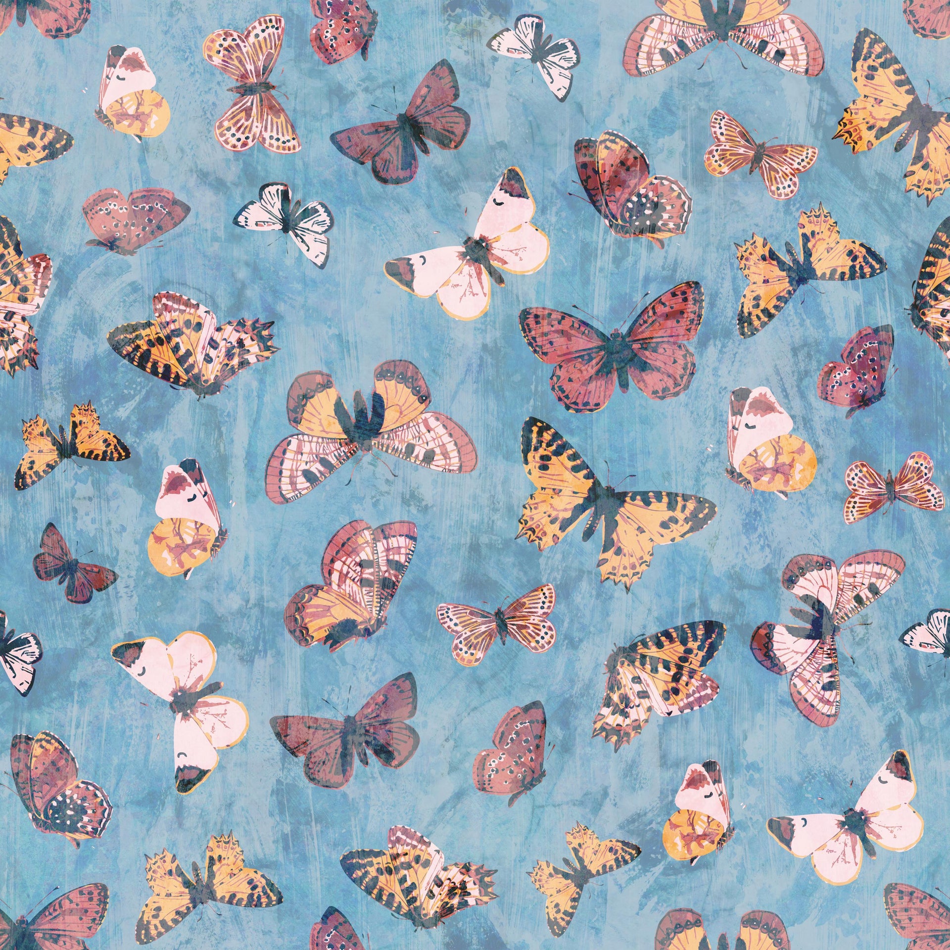 Summer Butterflies