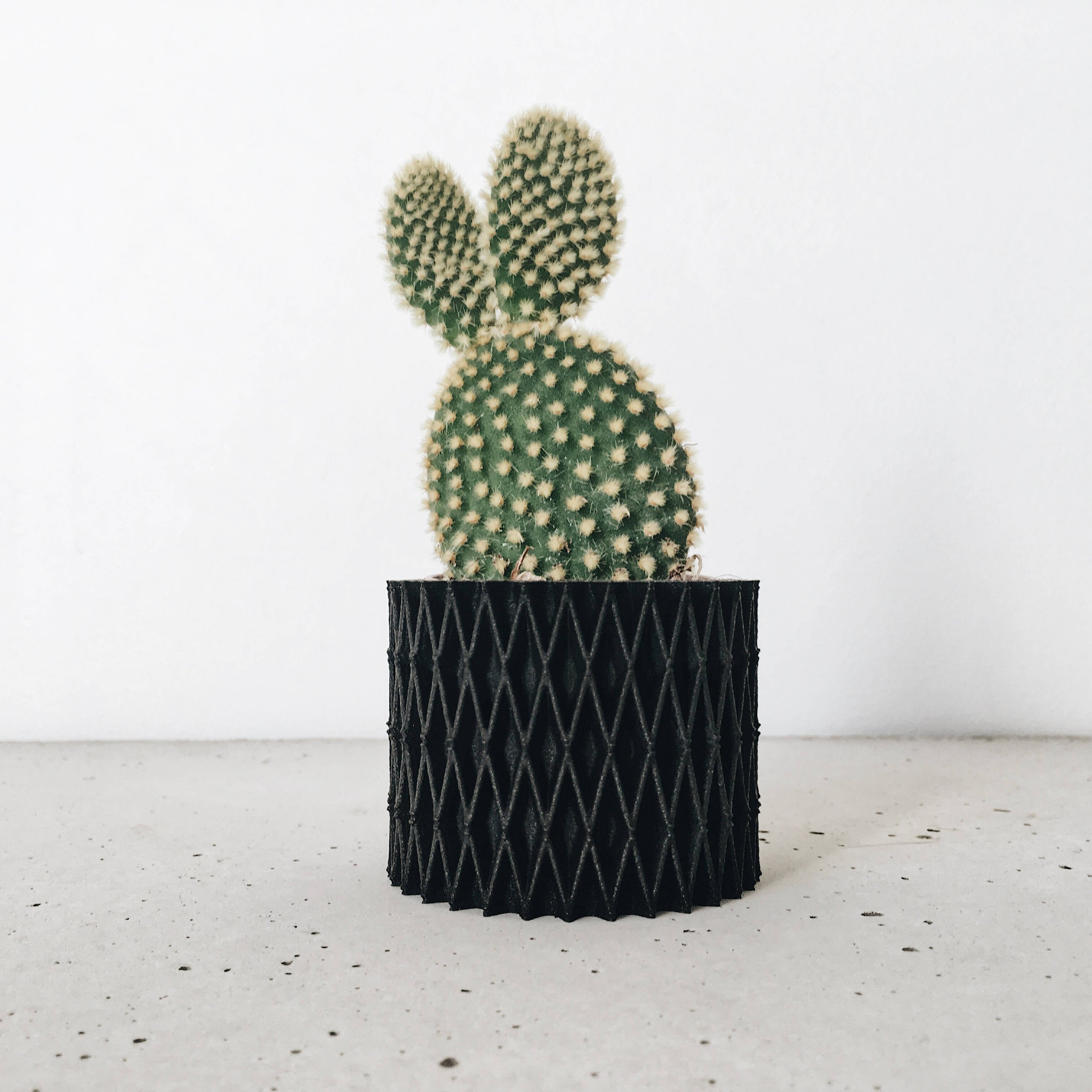 3 Small Black Wooden Planters