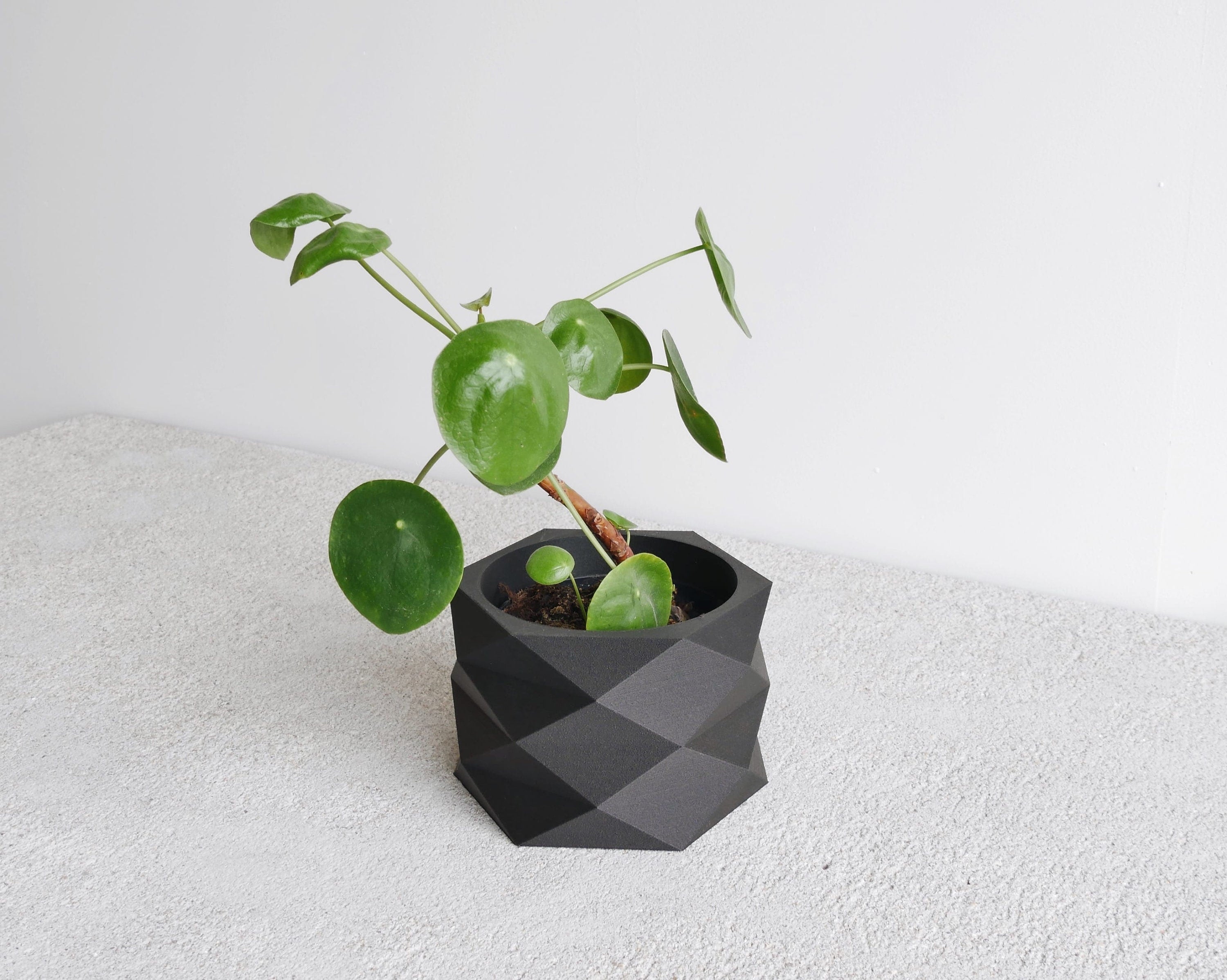 Indoor Planter - DIAMANT