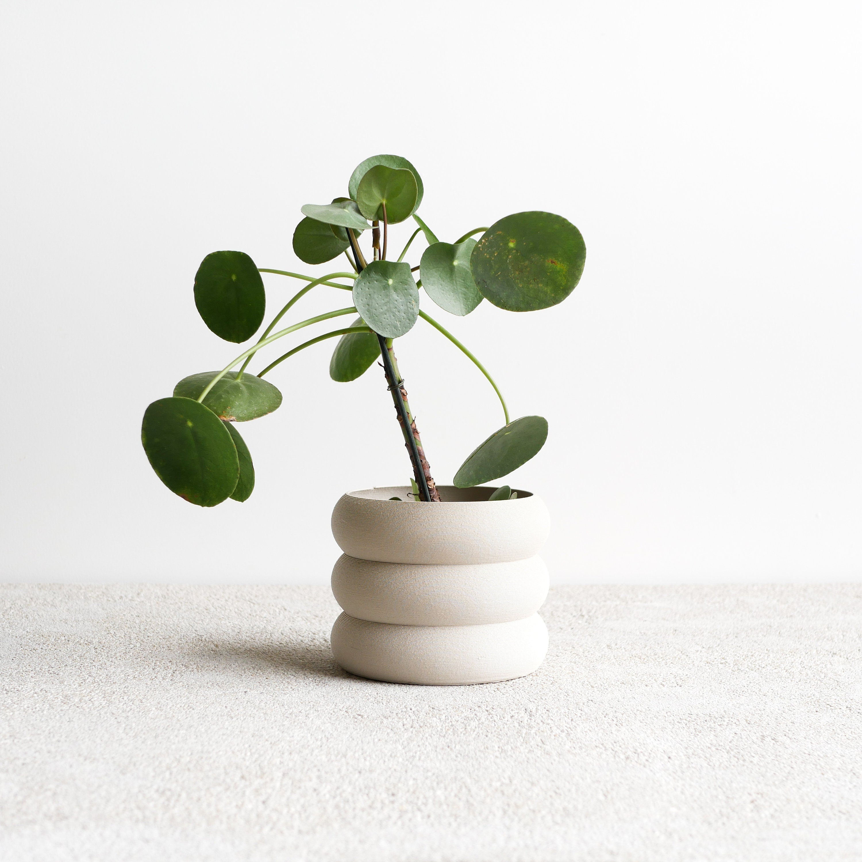 White Indoor Wooden Planter "EDEN"- Perfect for Green Plants, Cactus Et Succulent Plants !