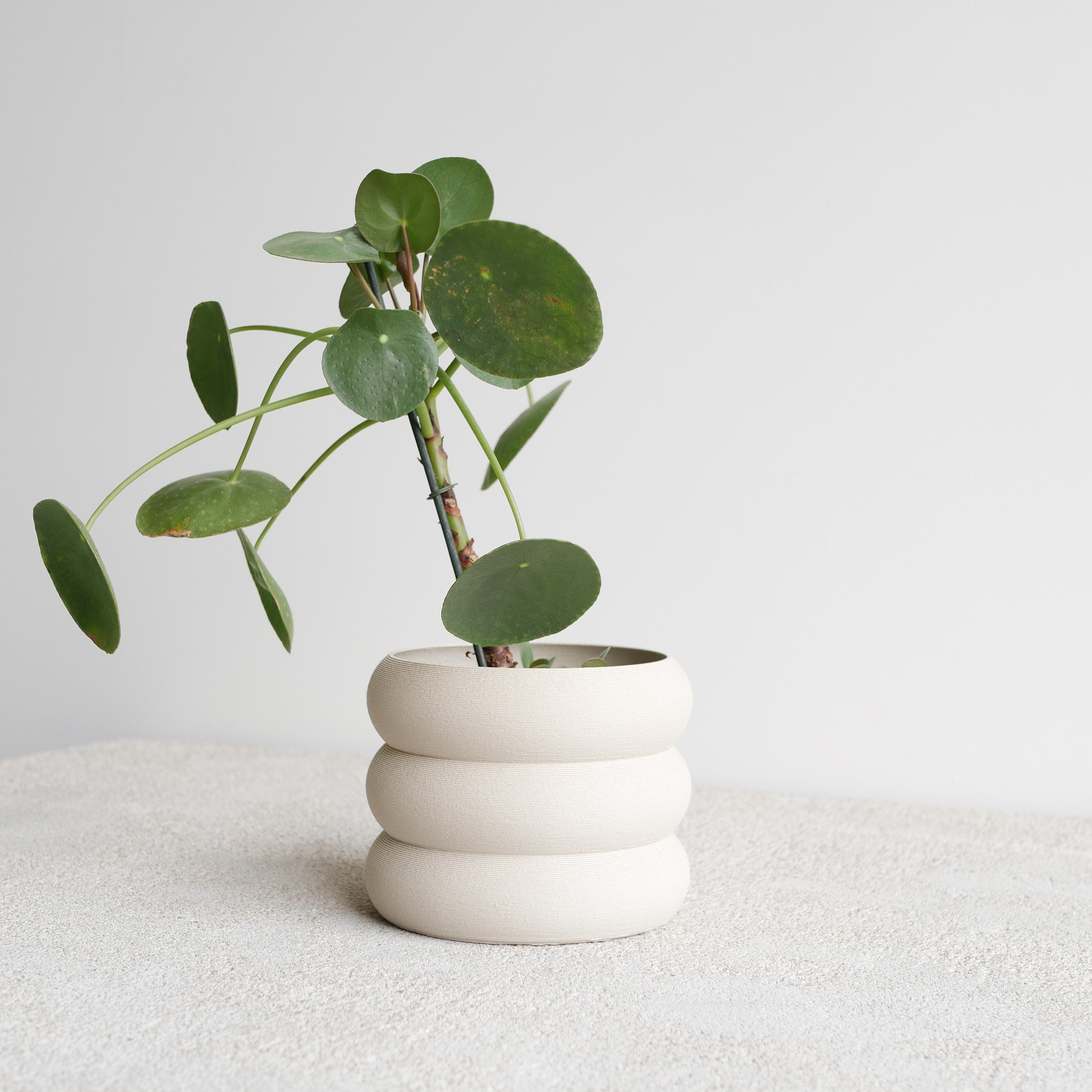 White Indoor Wooden Planter "EDEN"- Perfect for Green Plants, Cactus Et Succulent Plants !