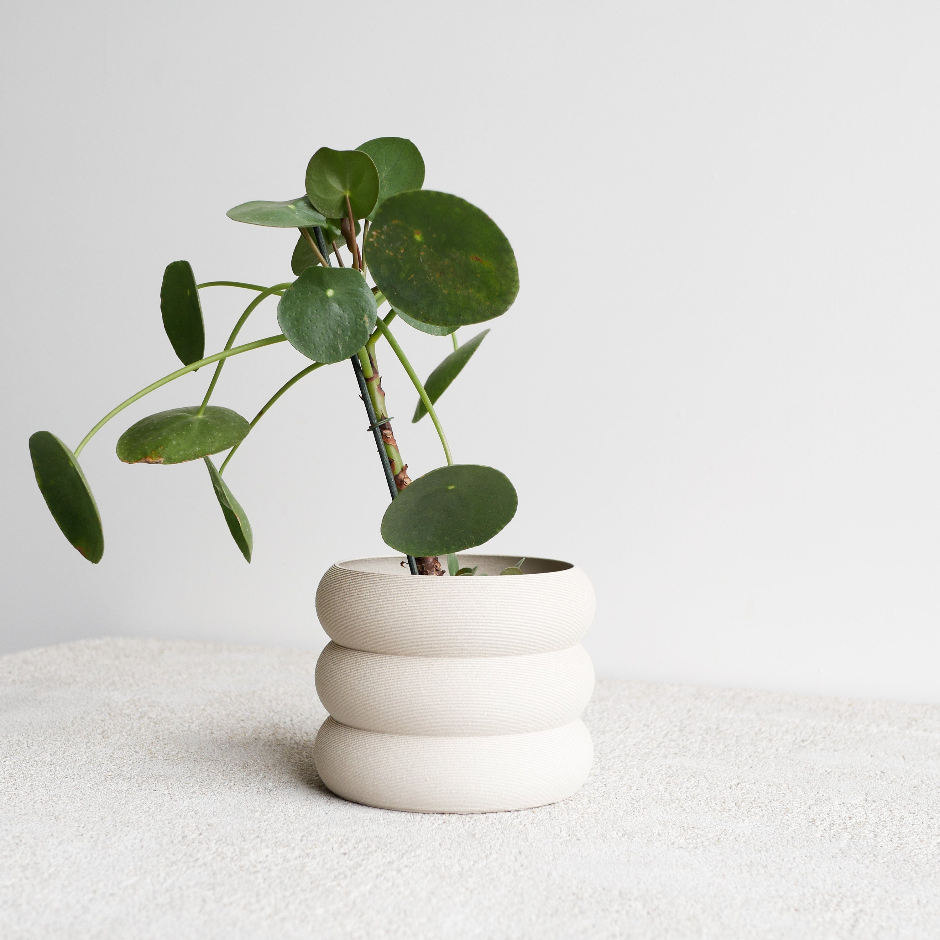 White Indoor Wooden Planter "EDEN"- Perfect for Green Plants, Cactus Et Succulent Plants !