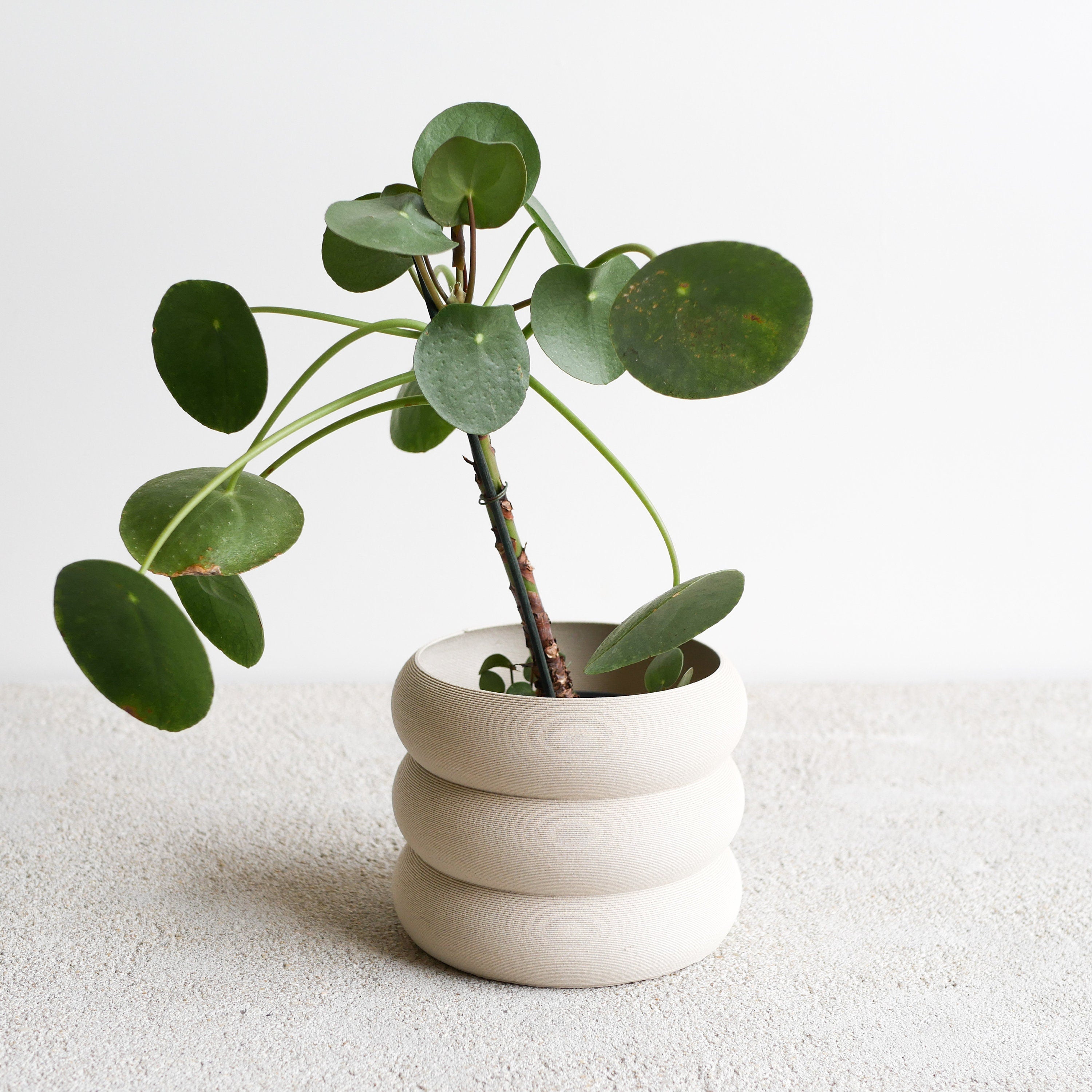 White Indoor Wooden Planter "EDEN"- Perfect for Green Plants, Cactus Et Succulent Plants !