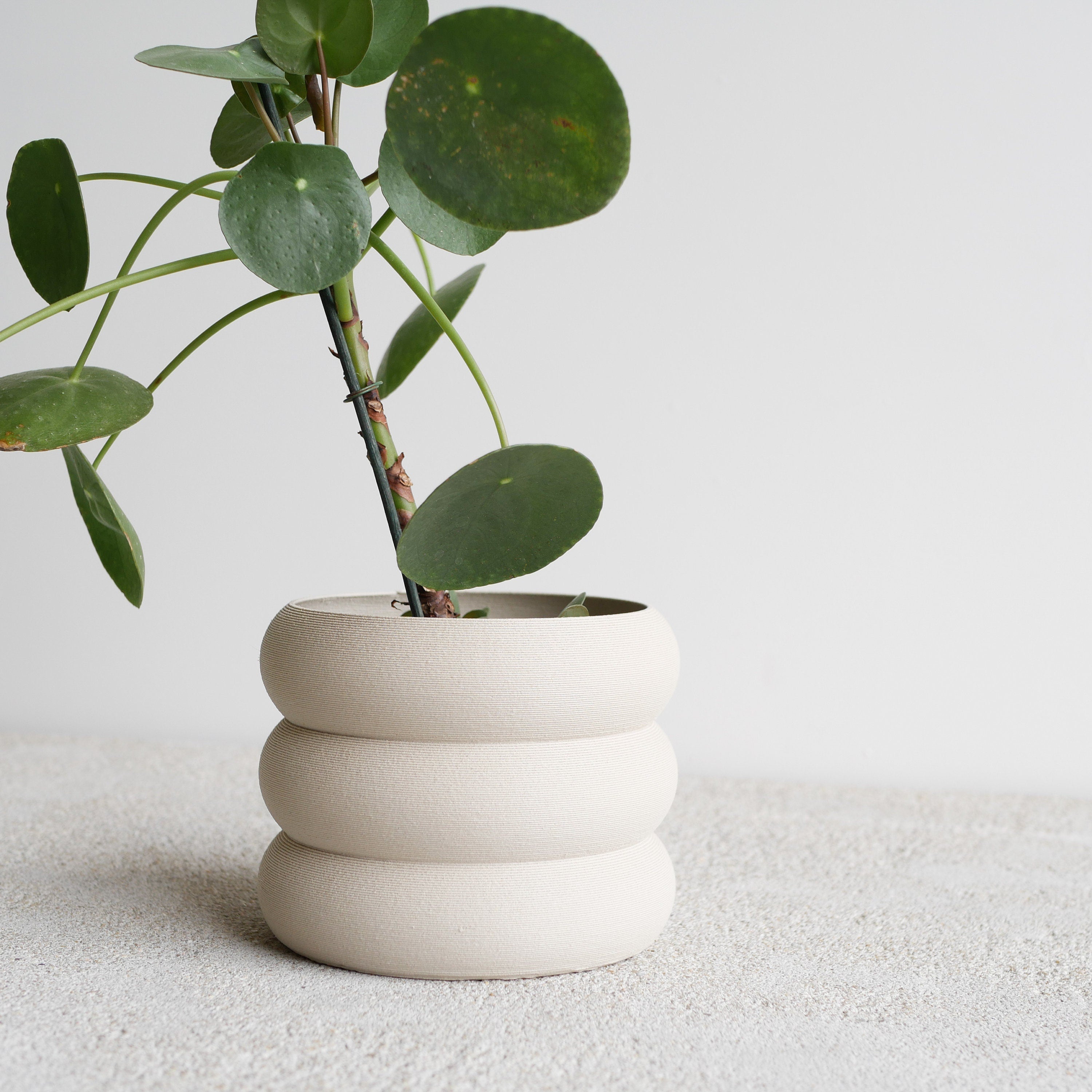 White Indoor Wooden Planter "EDEN"- Perfect for Green Plants, Cactus Et Succulent Plants !