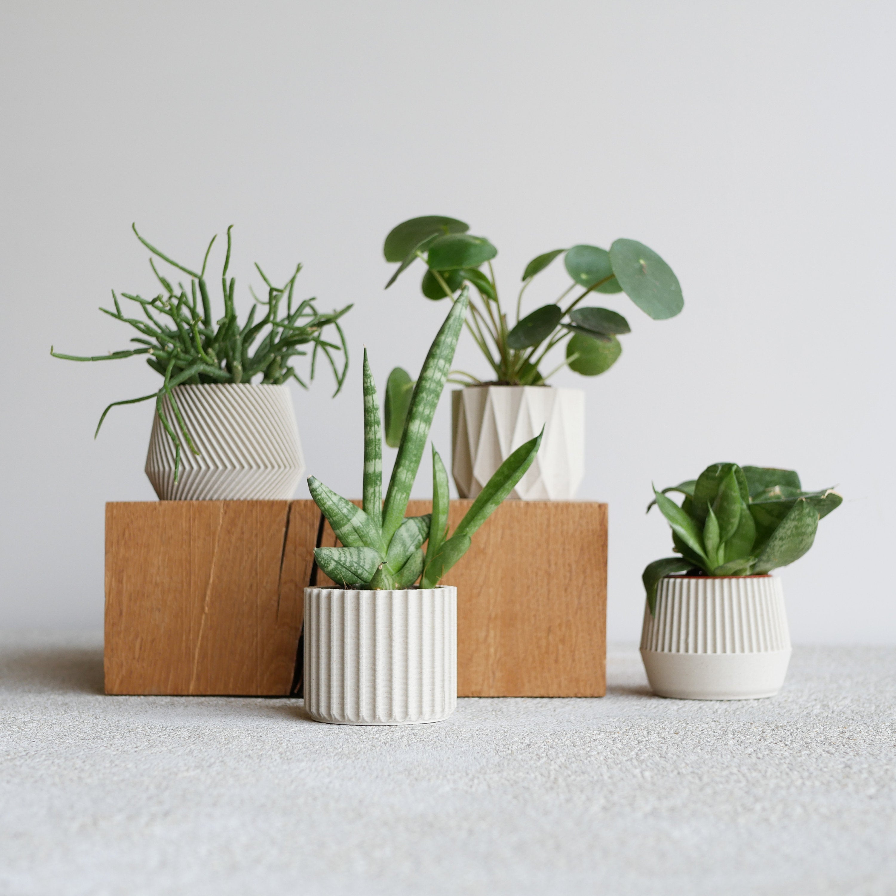 Set of 4 Small Indoor Planters White - Original Planter Gift !