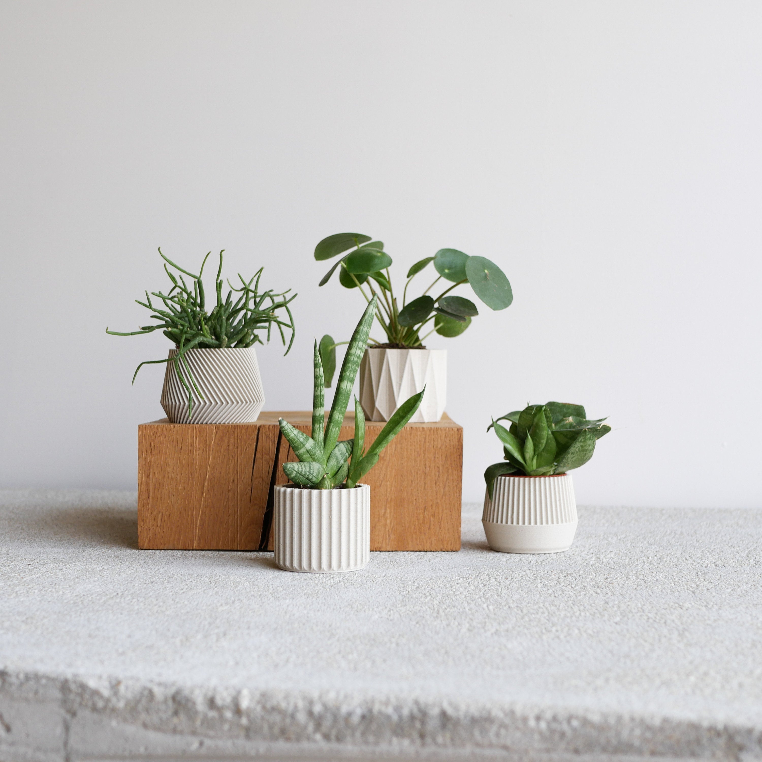 Set of 4 Small Indoor Planters White - Original Planter Gift !