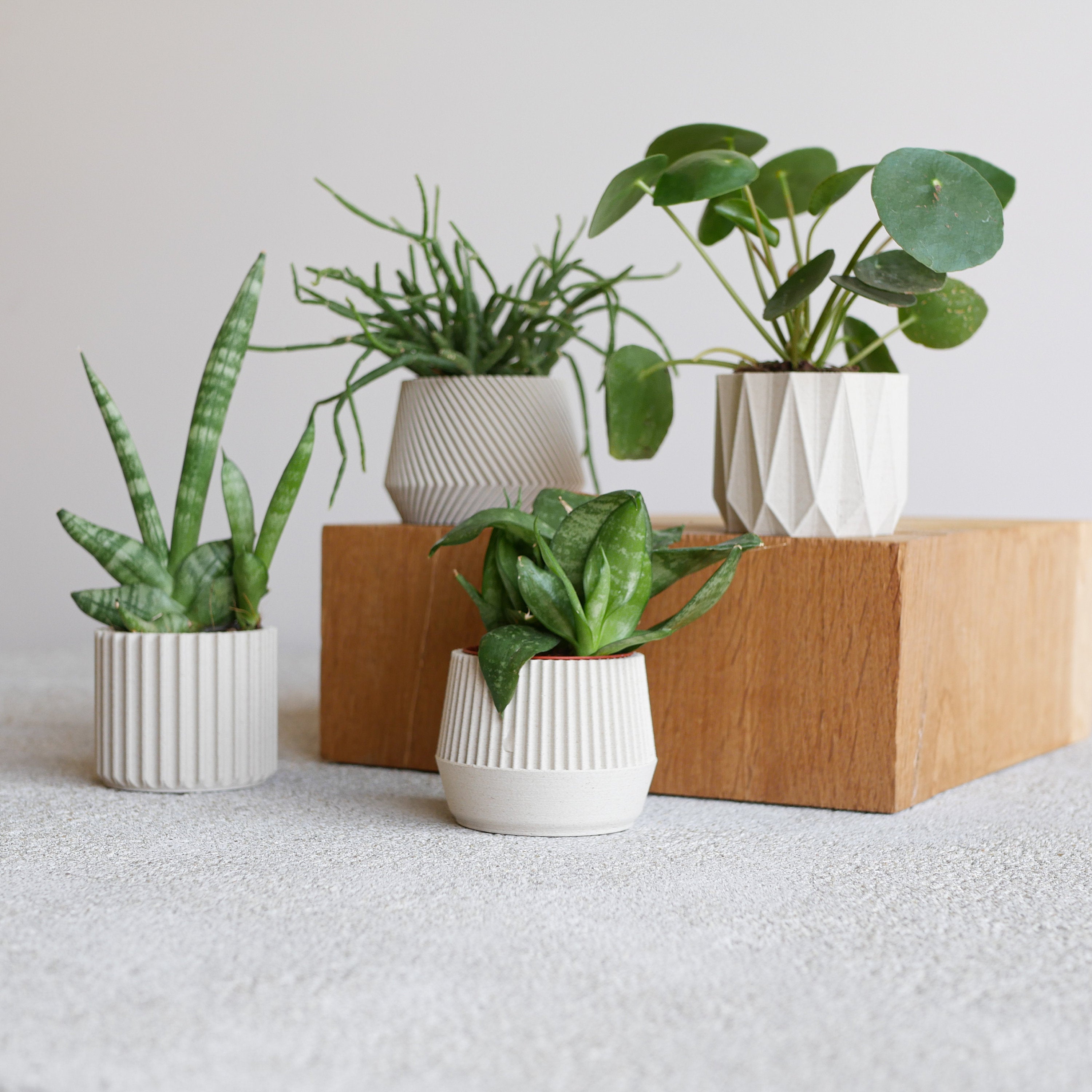 Set of 4 Small Indoor Planters White - Original Planter Gift !