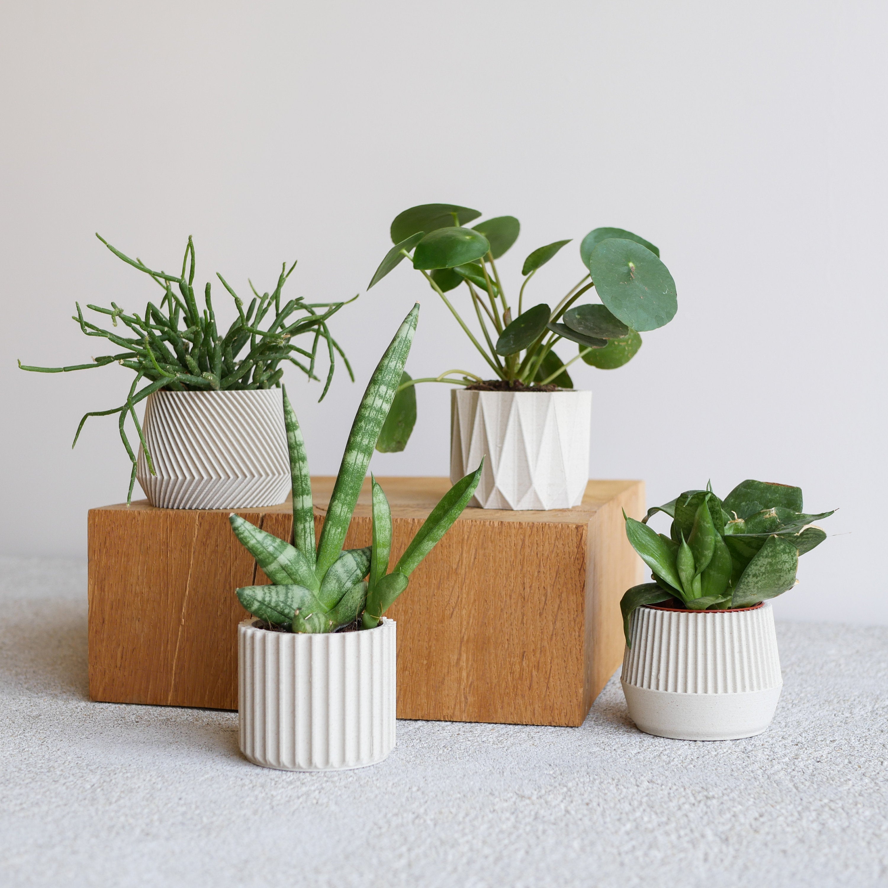 Set of 4 Small Indoor Planters White - Original Planter Gift !