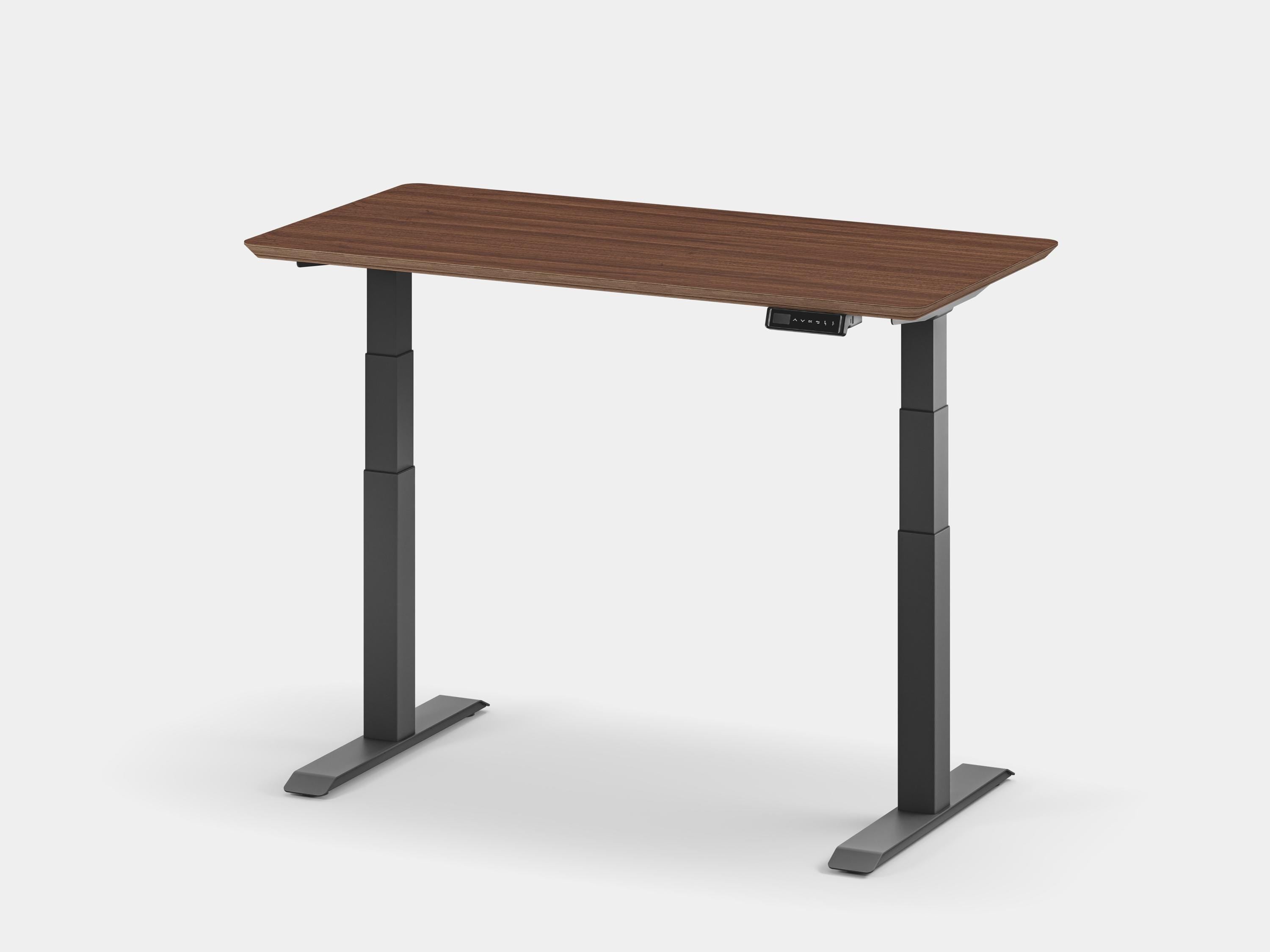 Handmade Standing Desk