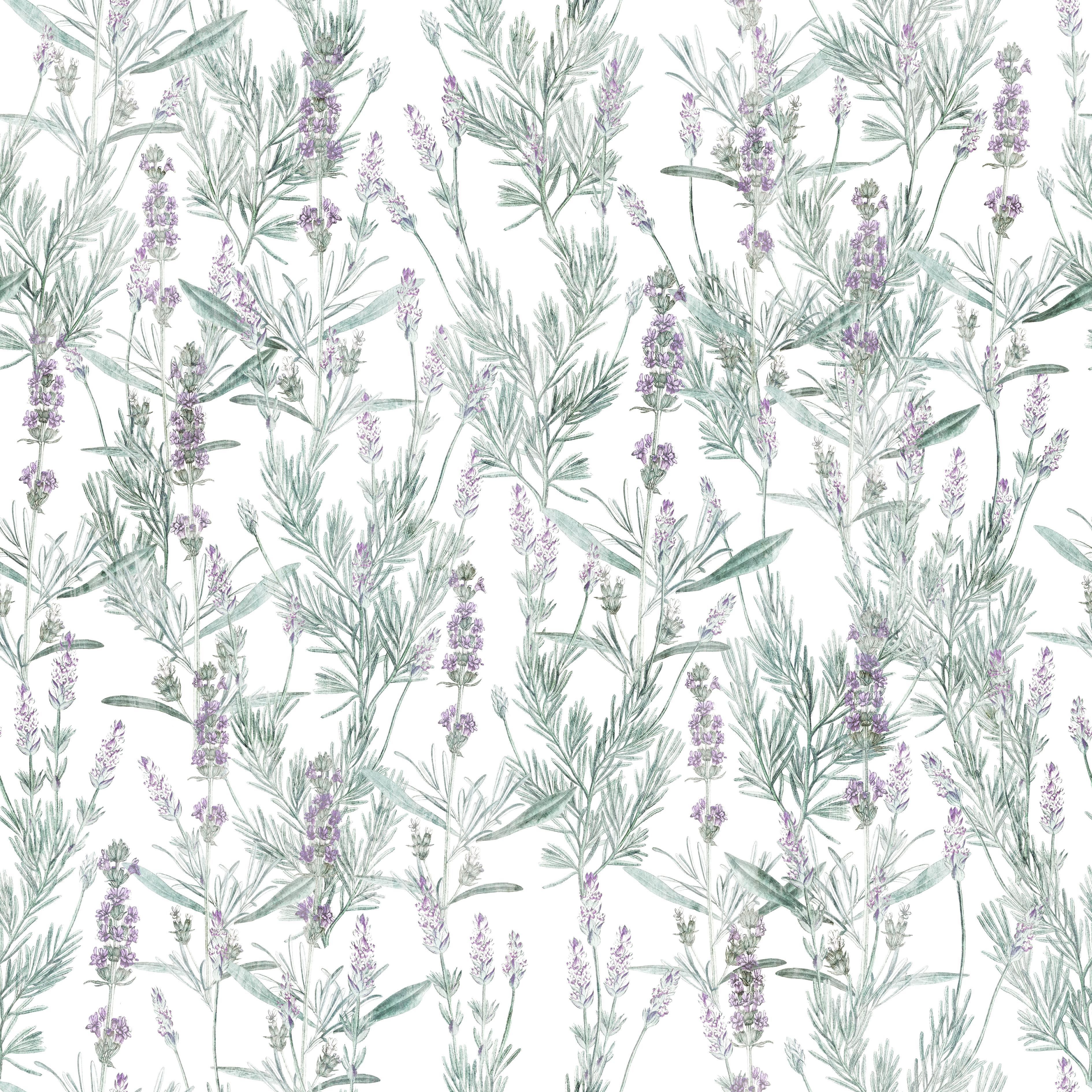 Mediterranean - Tomono