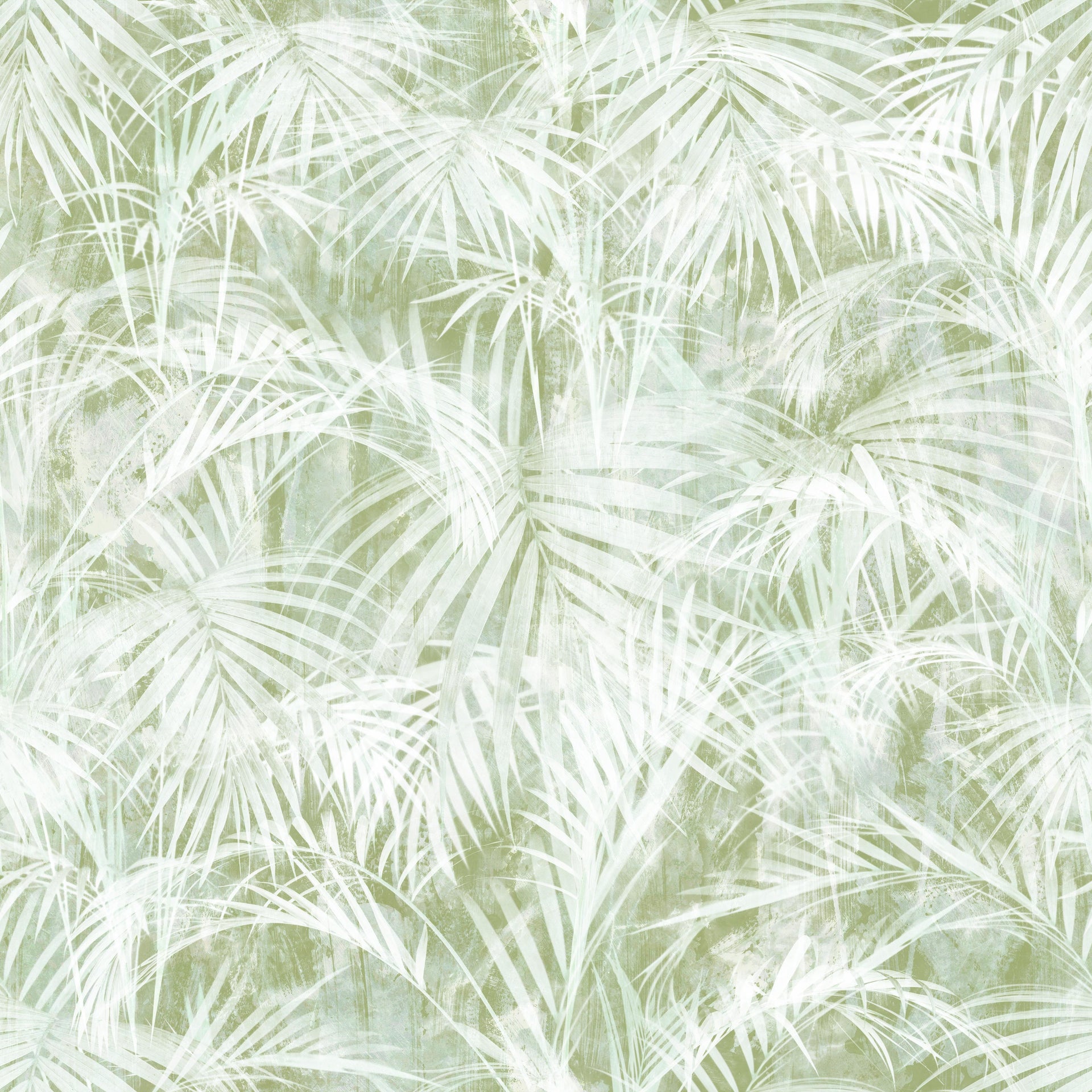 Airy Palms