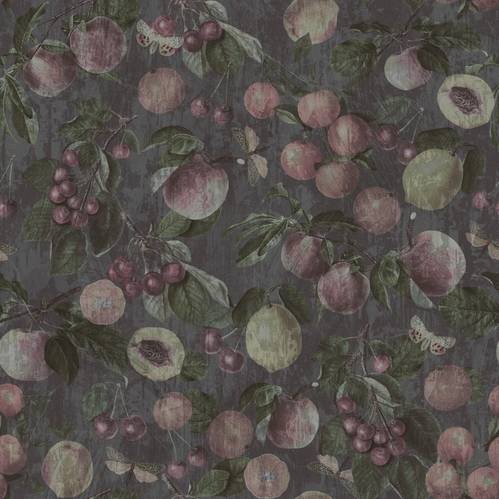 Ancient Garden - Tomono