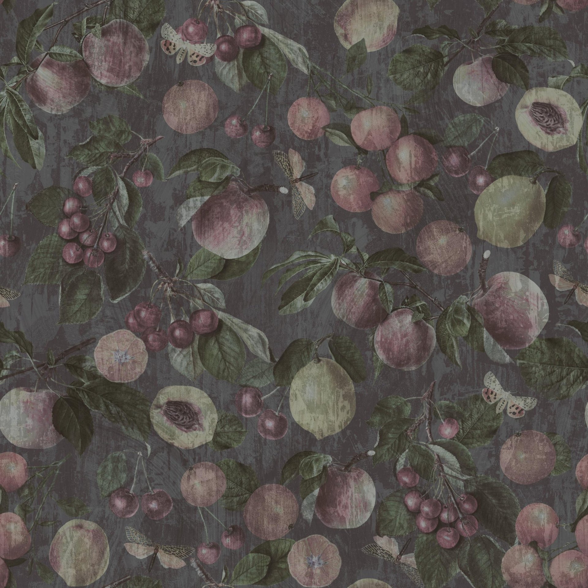 Ancient Garden - Tomono