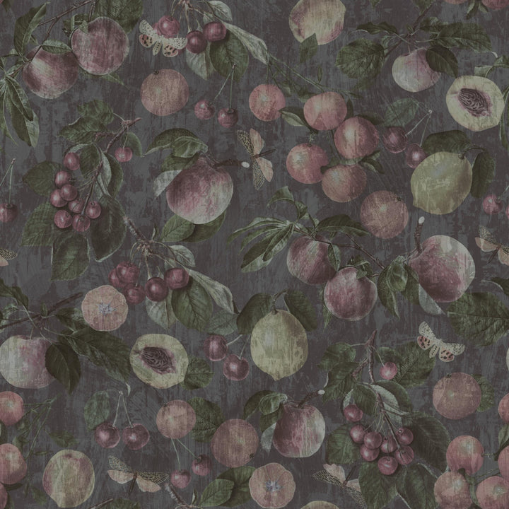 Ancient Garden - Tomono