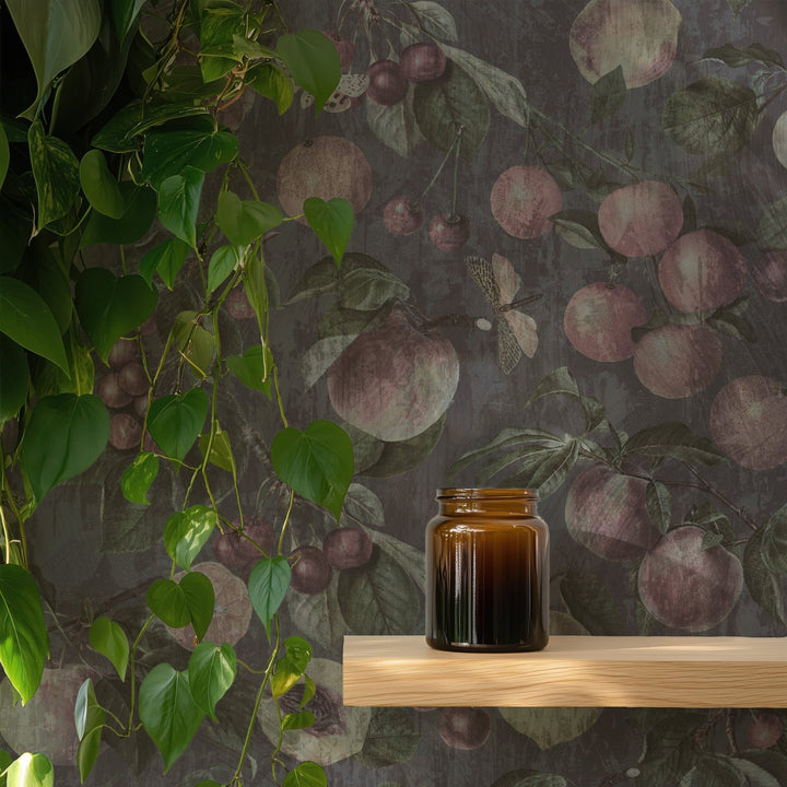 Ancient Garden - Tomono