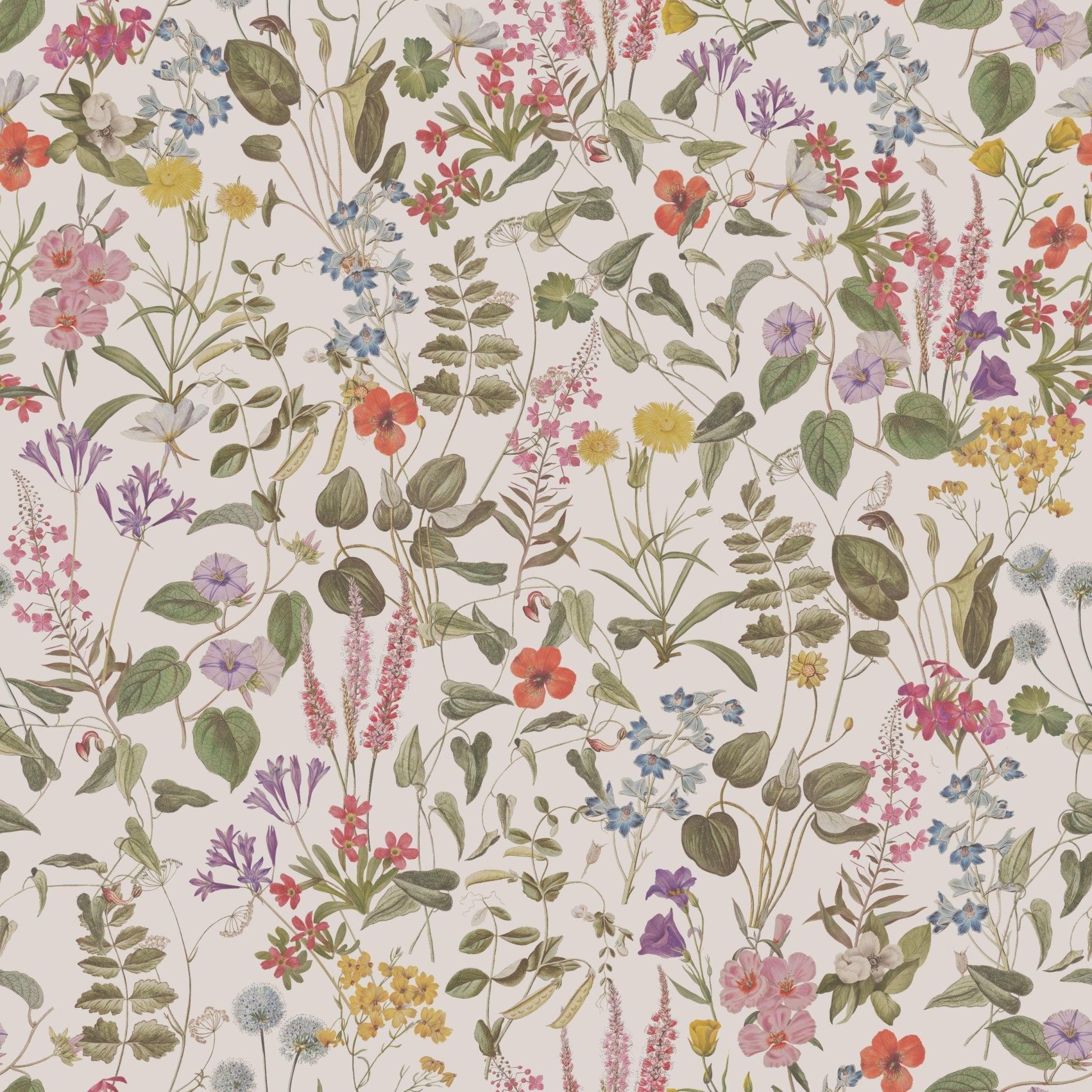 Antique Herbarium - Tomono