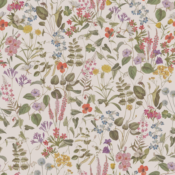 Antique Herbarium - Tomono