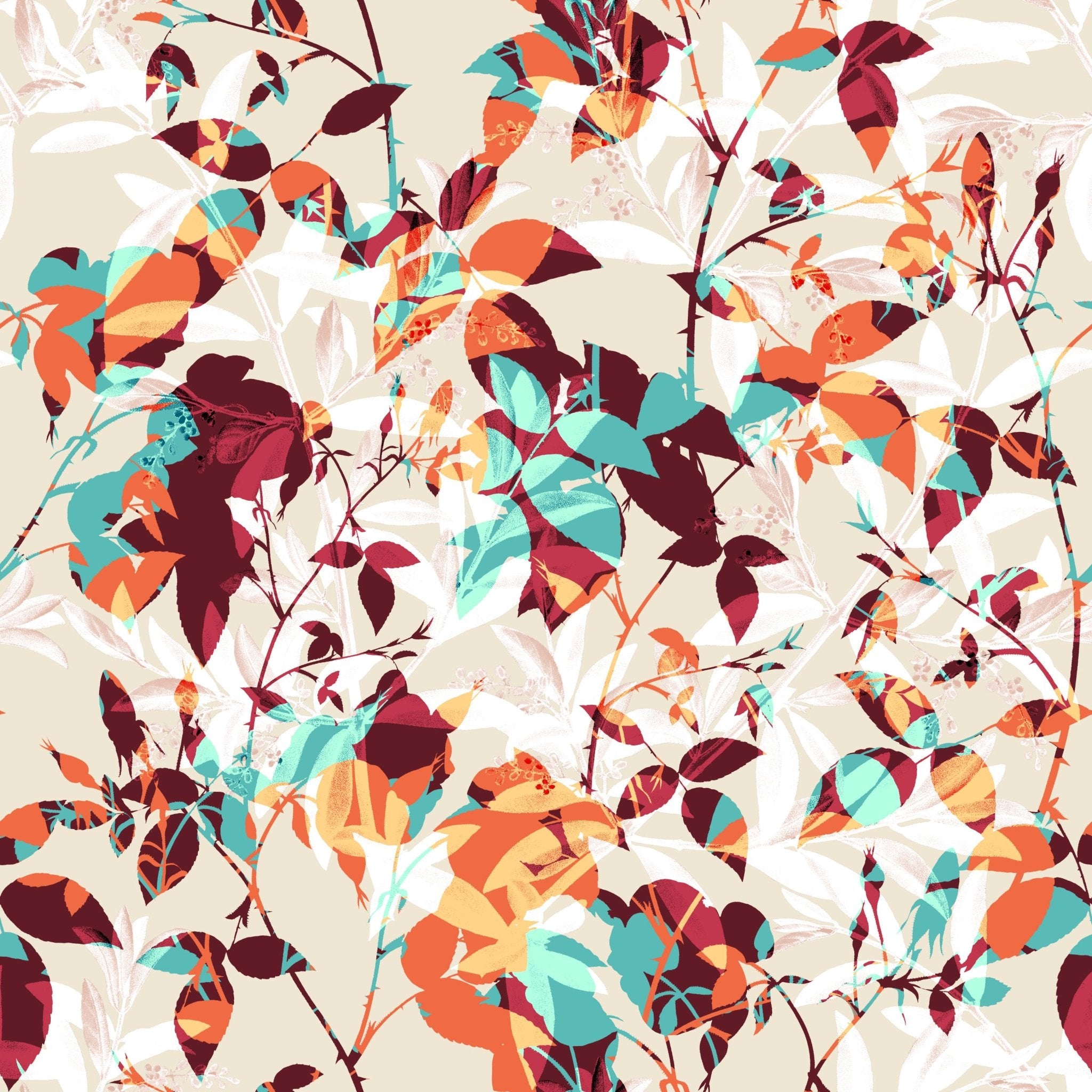 Autumn Foliage - Tomono