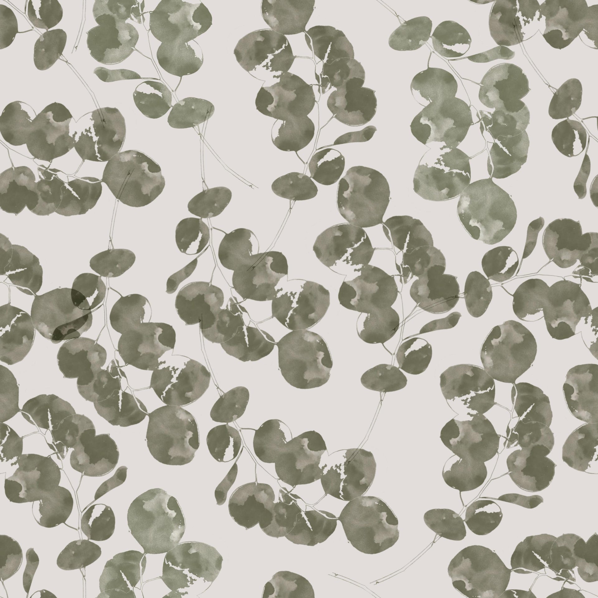 Beautiful Eucalyptus