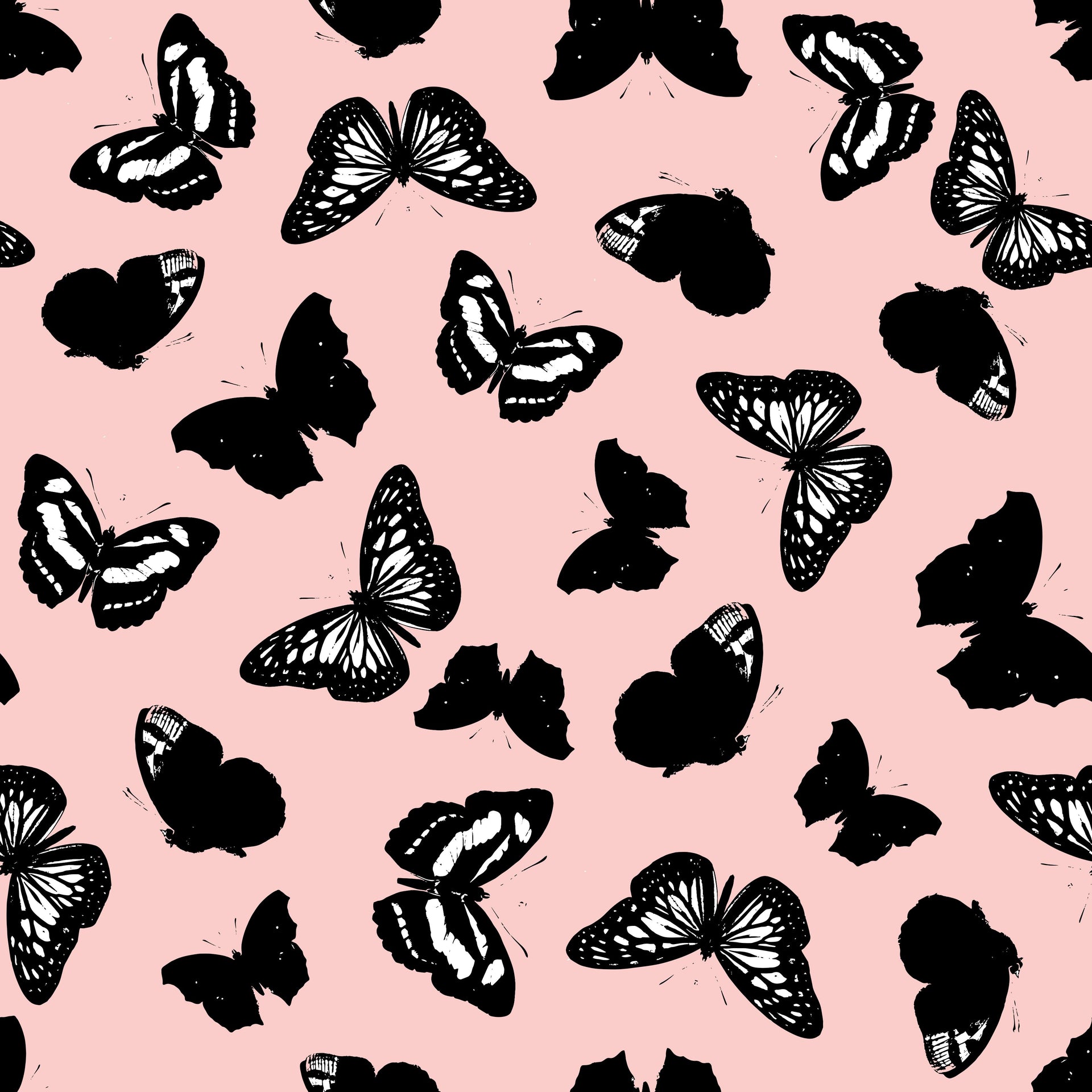 Black Butterflies