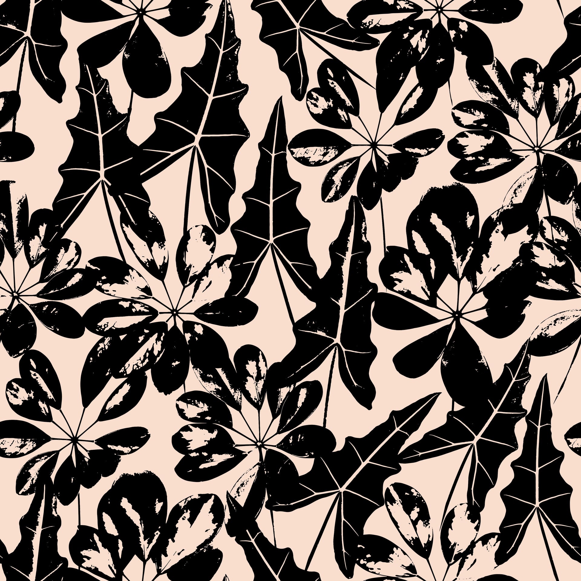 Black Tropical Leaves