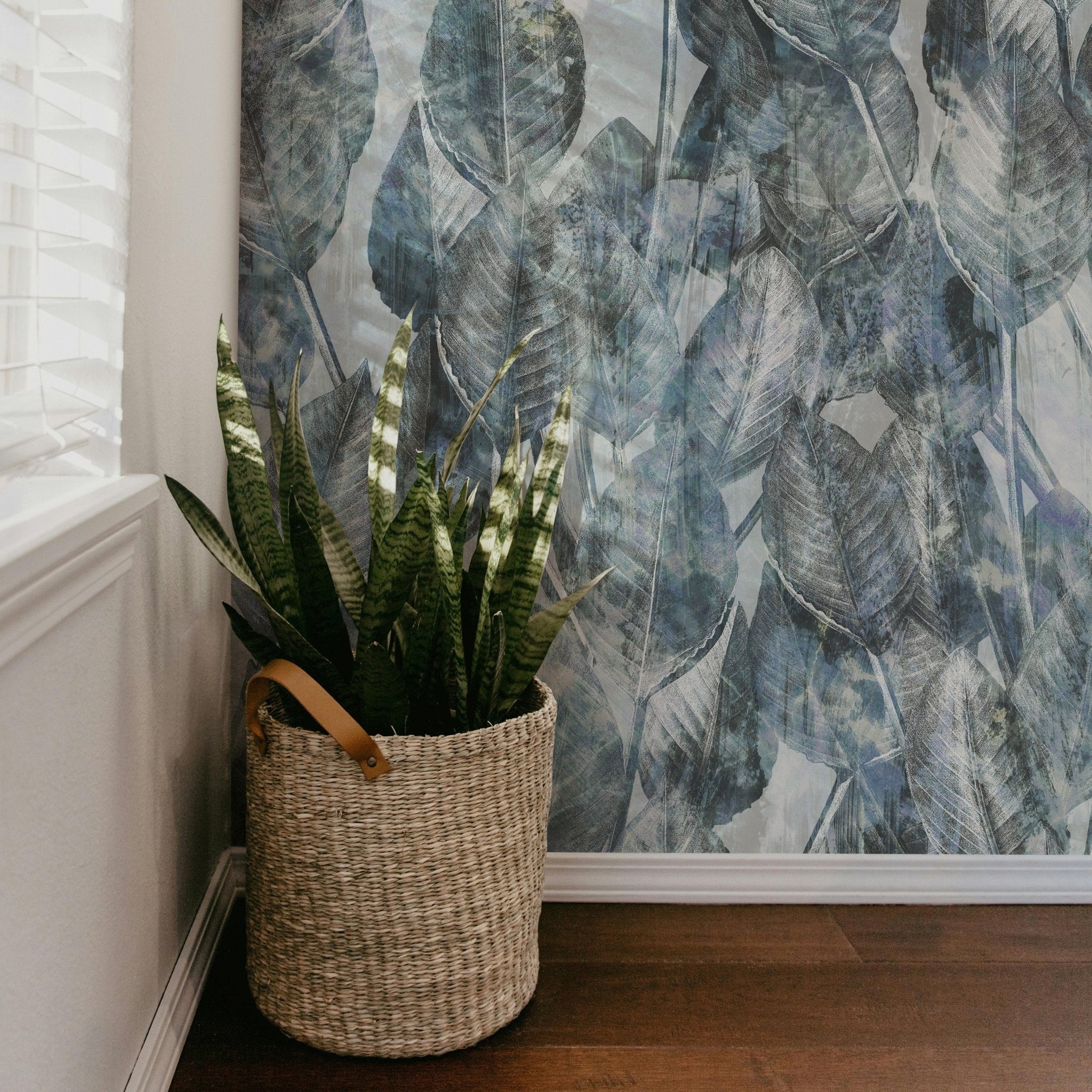 Blue Strelitzia - Tomono