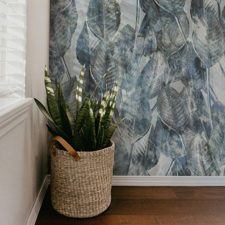 Blue Strelitzia - Tomono