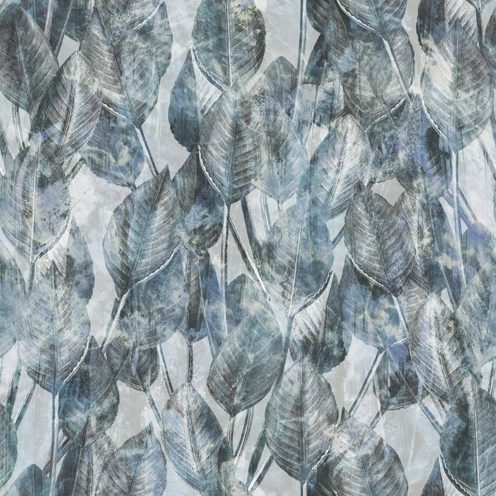 Blue Strelitzia - Tomono