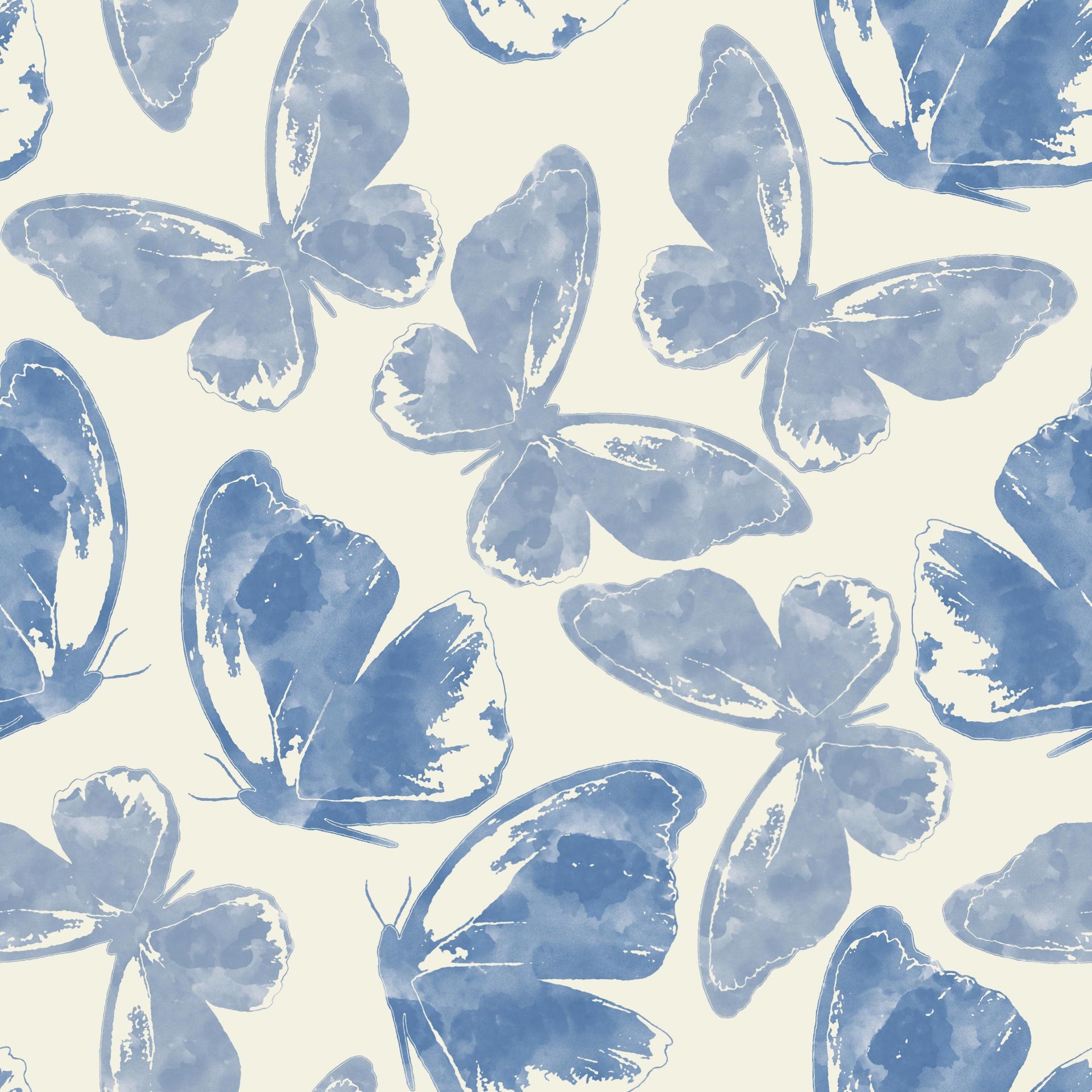 Blue print butterfly