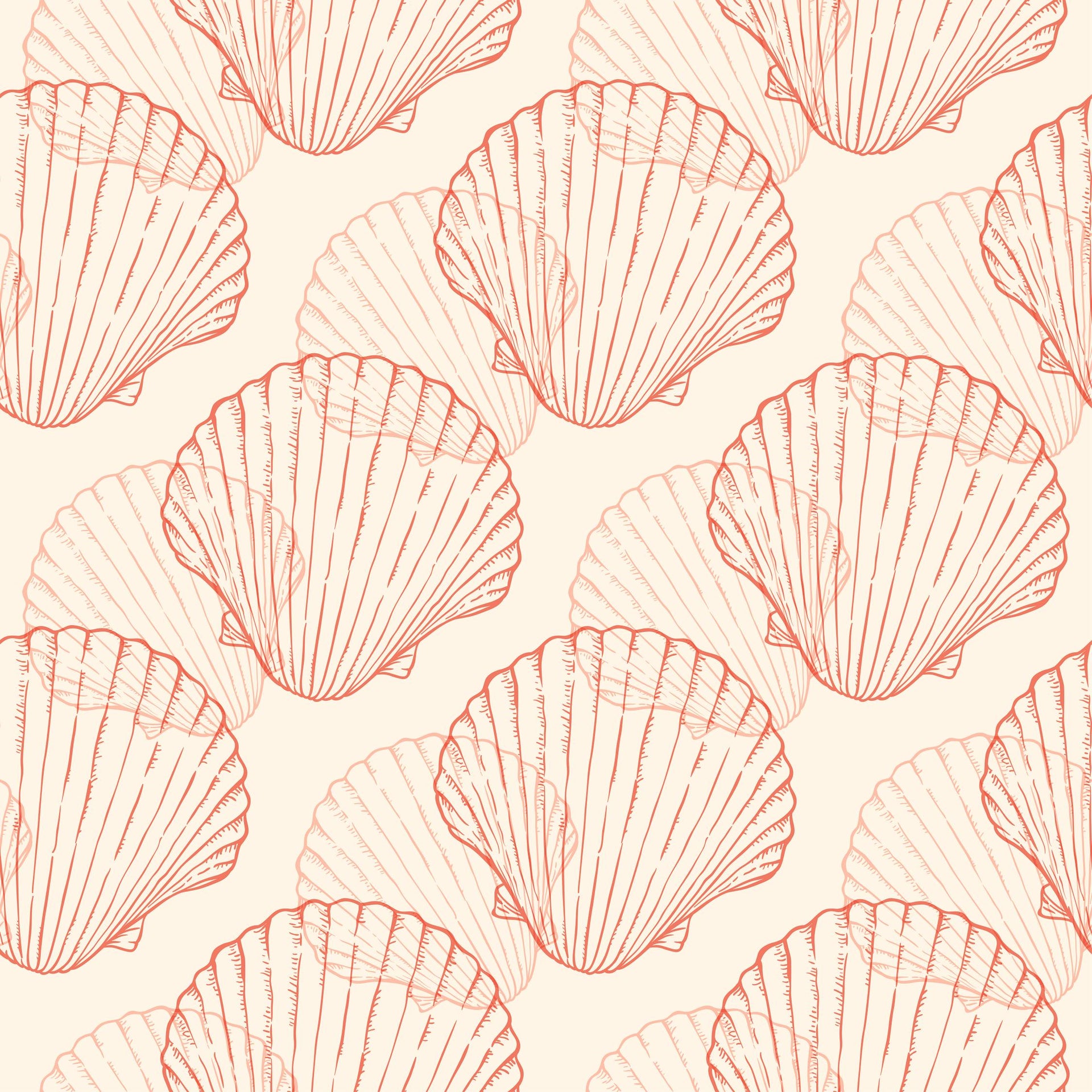 Blush Scallop Shells