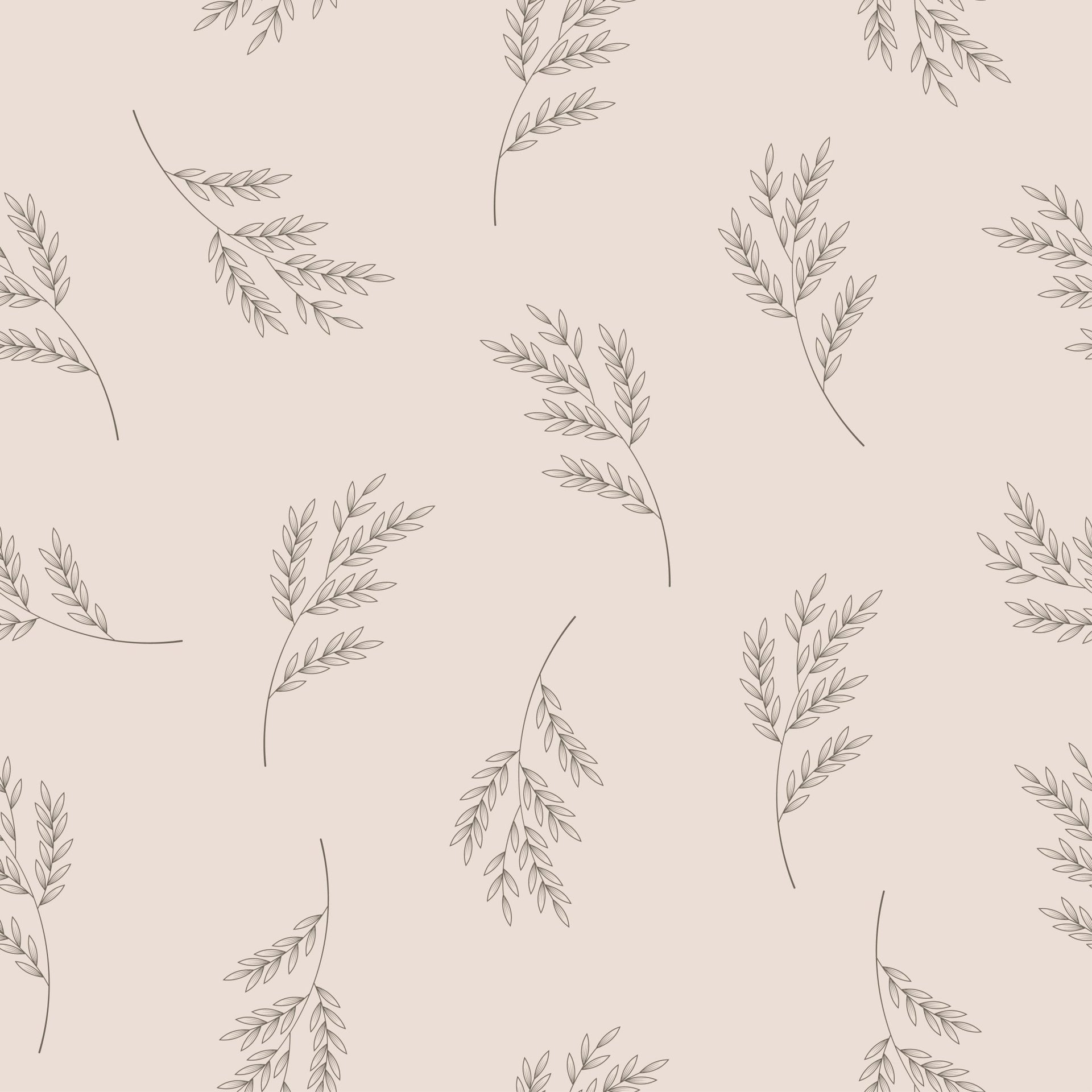 Botanical Sketch - Tomono