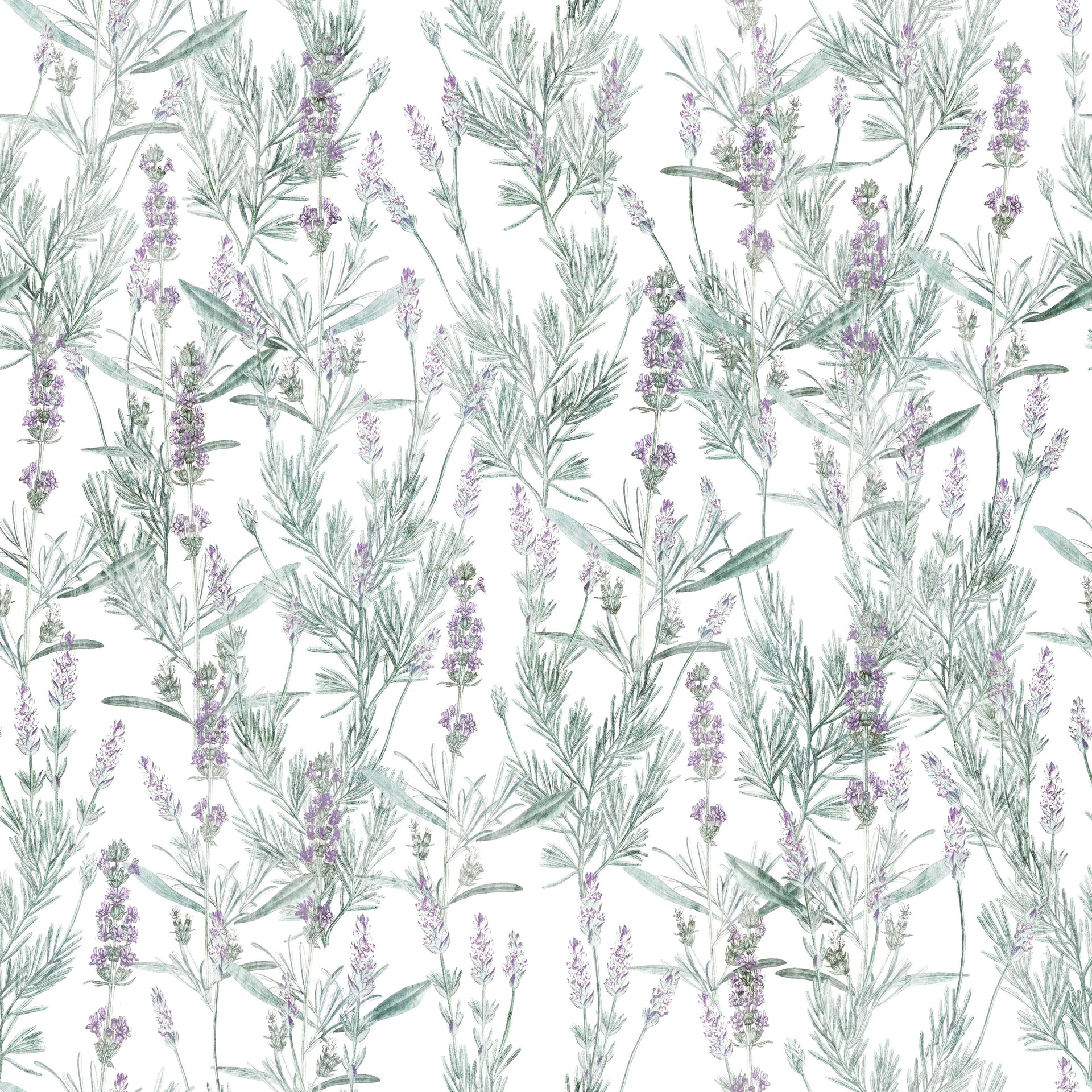 Bright Lavender