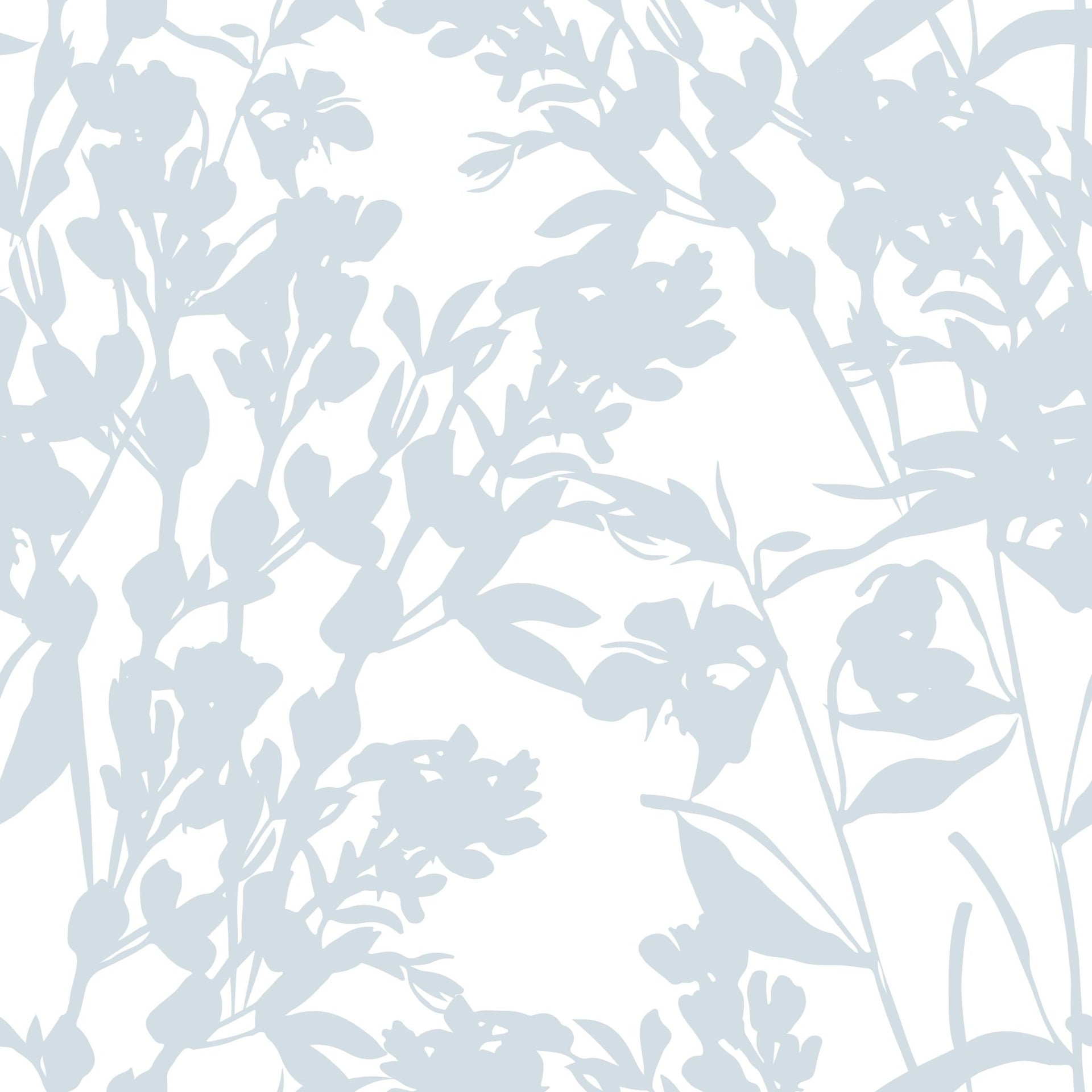 Bright Plants Shadows - Tomono