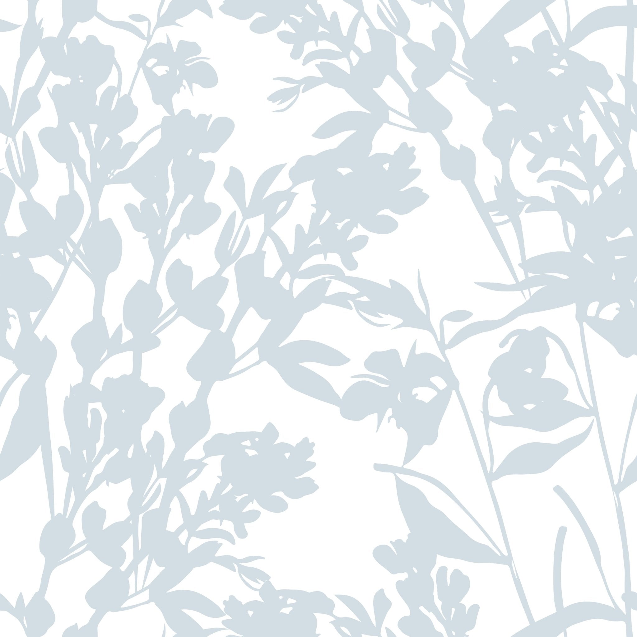 Bright Plants Shadows - Tomono