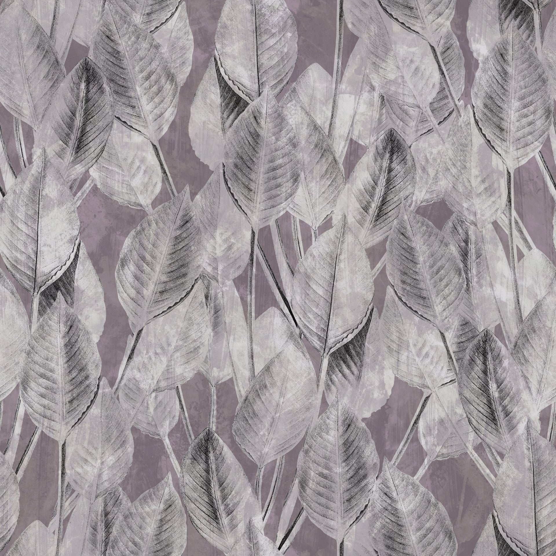 Bright Strelitzia - Tomono