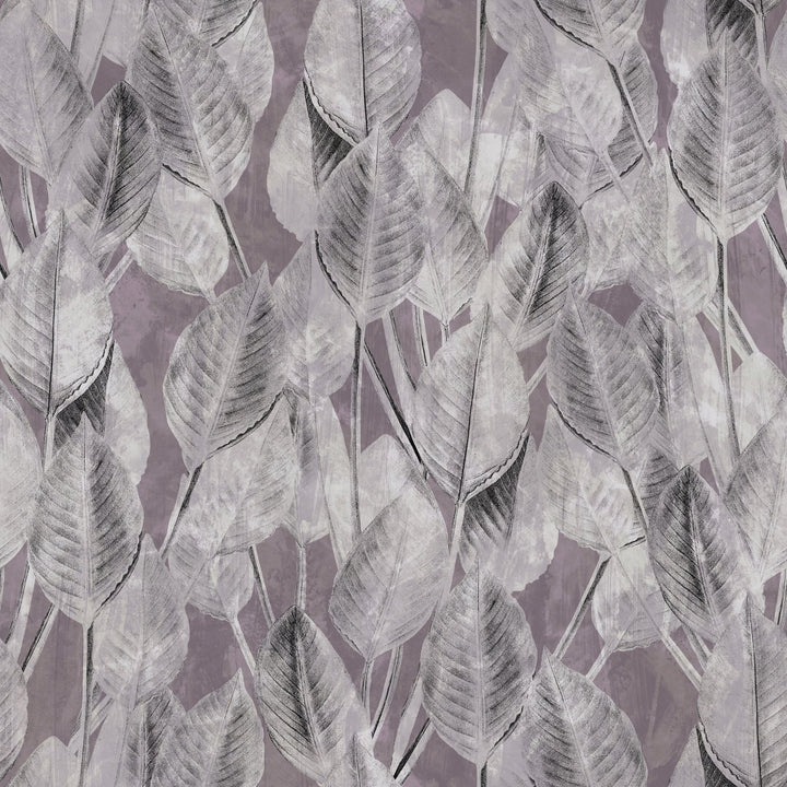 Bright Strelitzia - Tomono