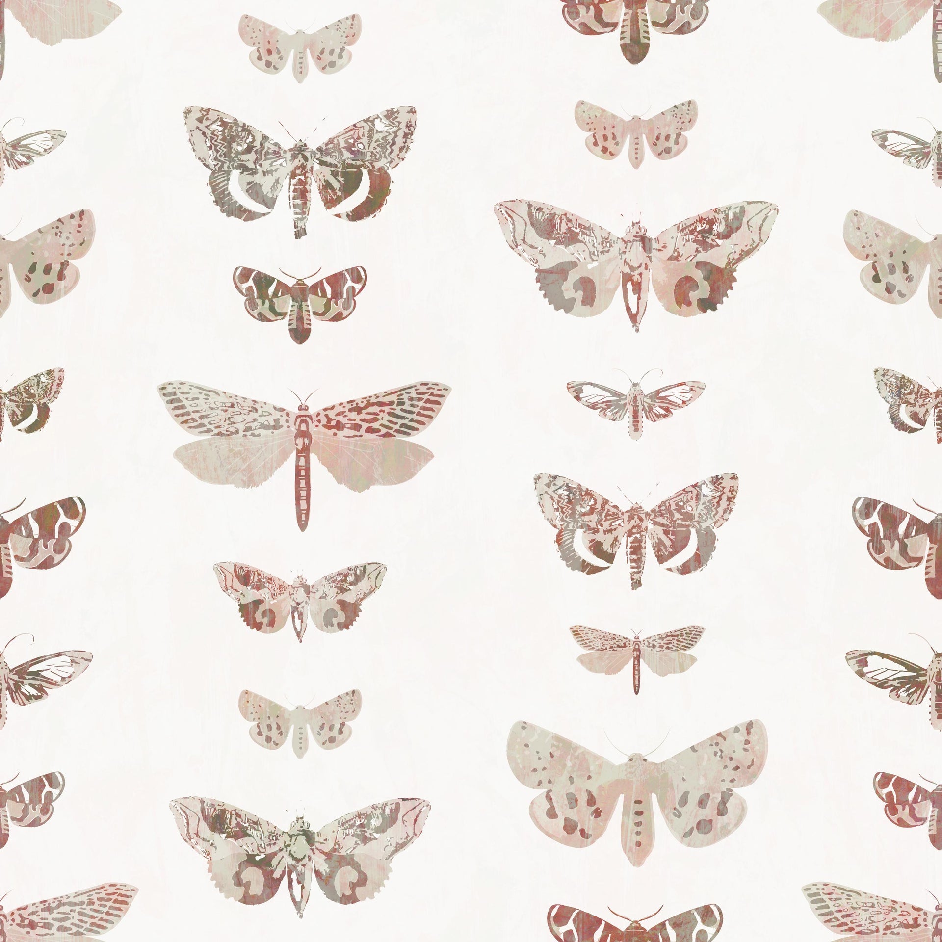 Cute Shabby Moths