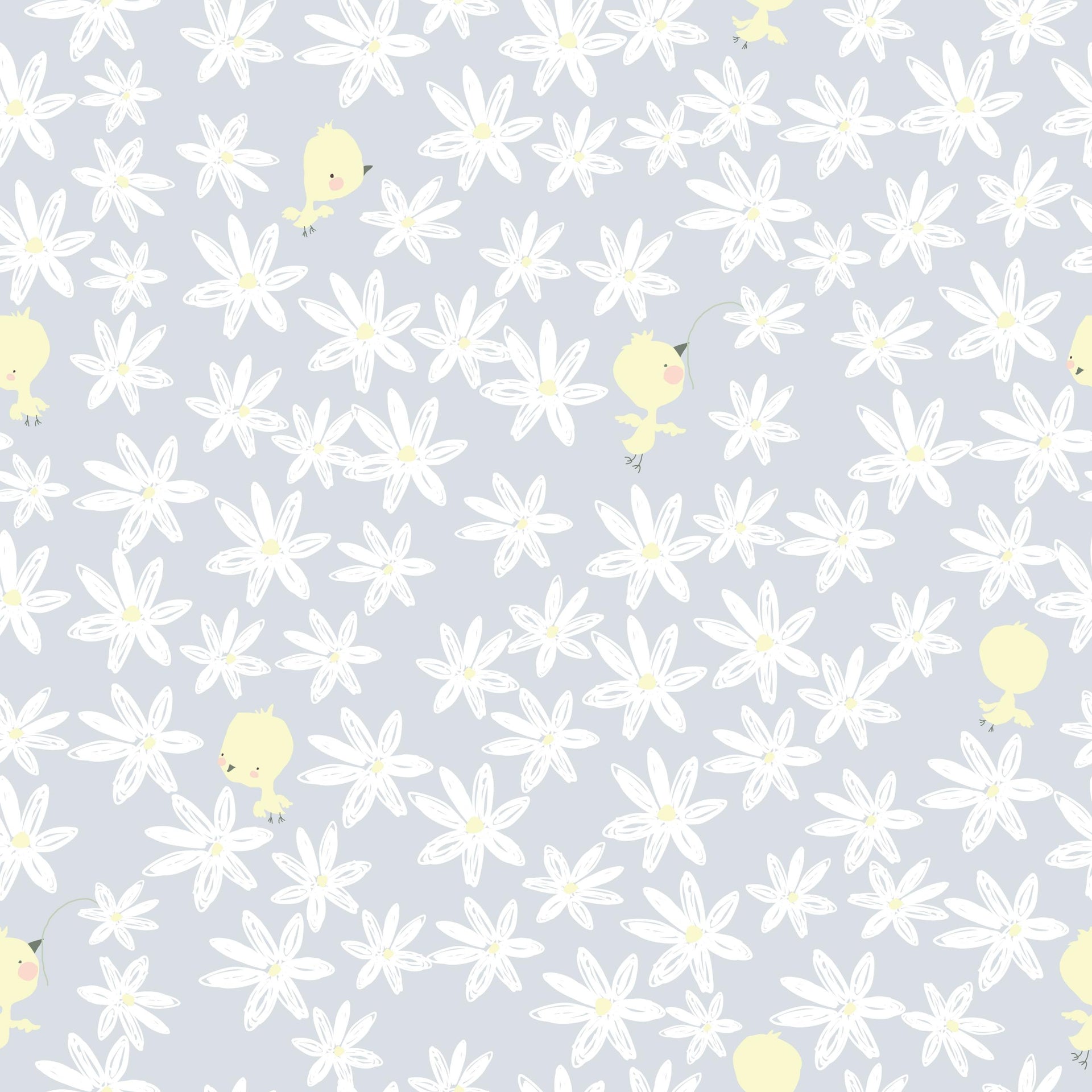 Daisies and Chicks