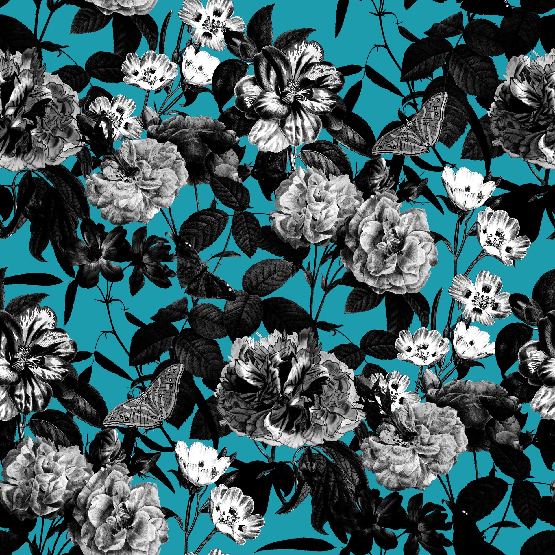 Dark Roses