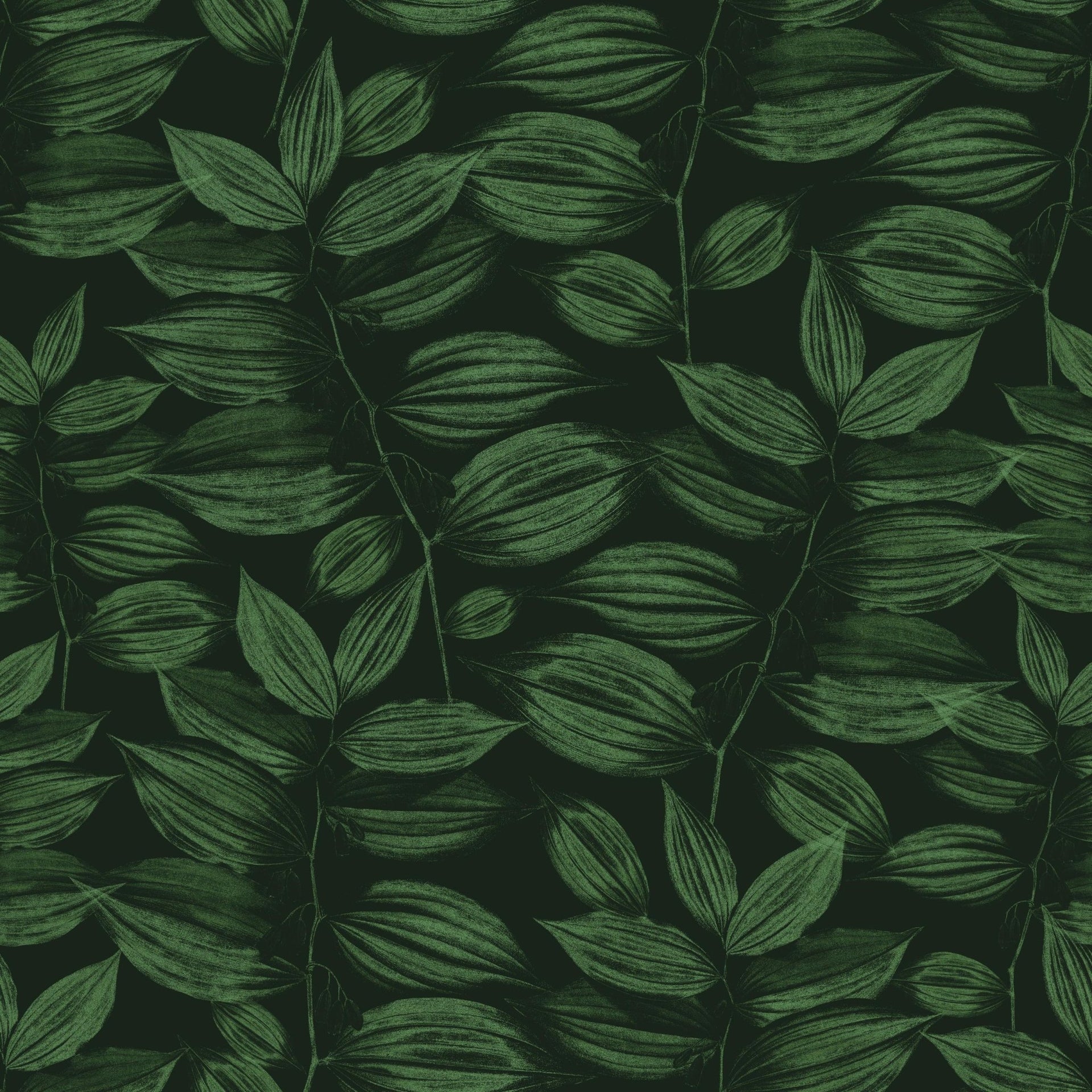 Dark Green Foliage - Tomono