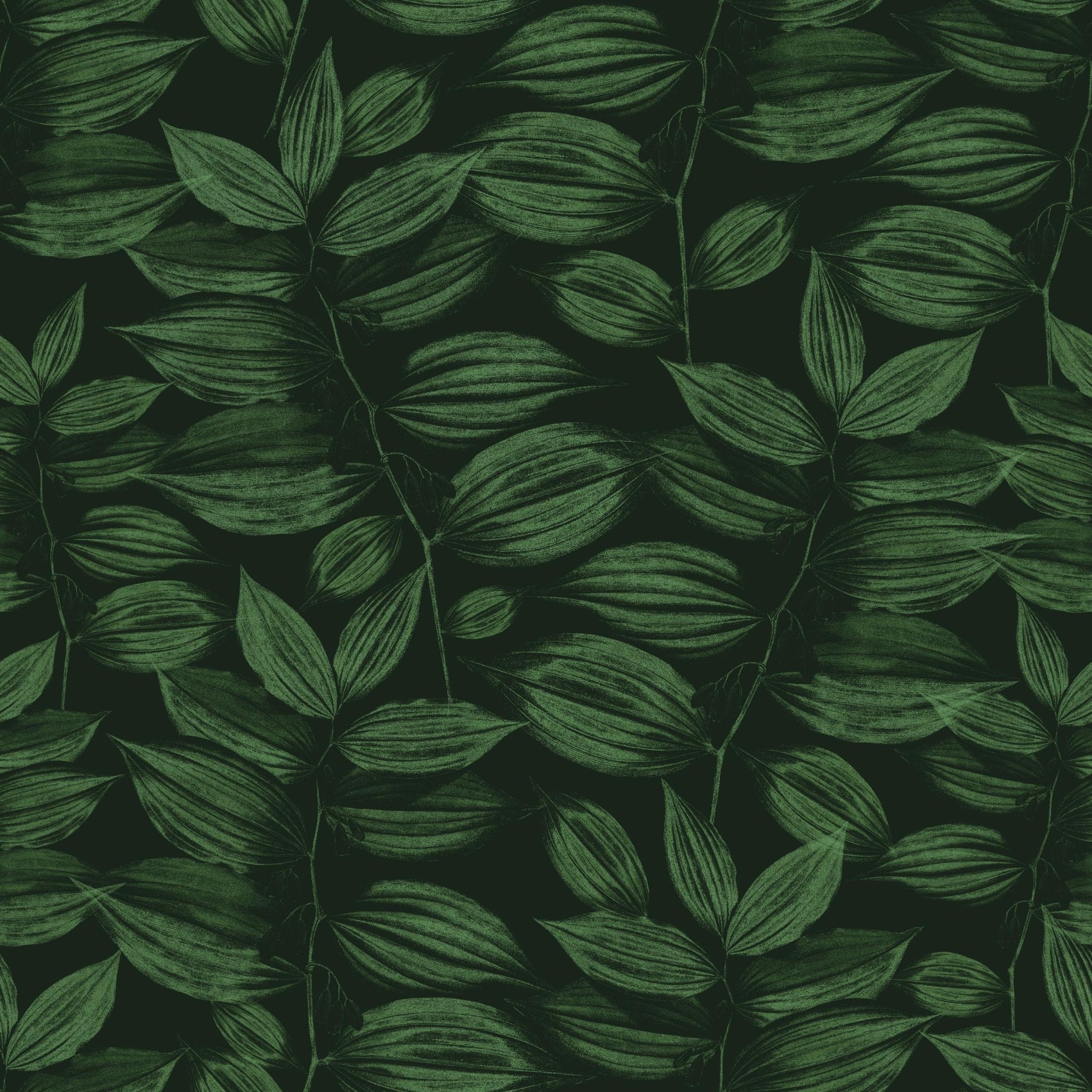 Dark Green Foliage - Tomono