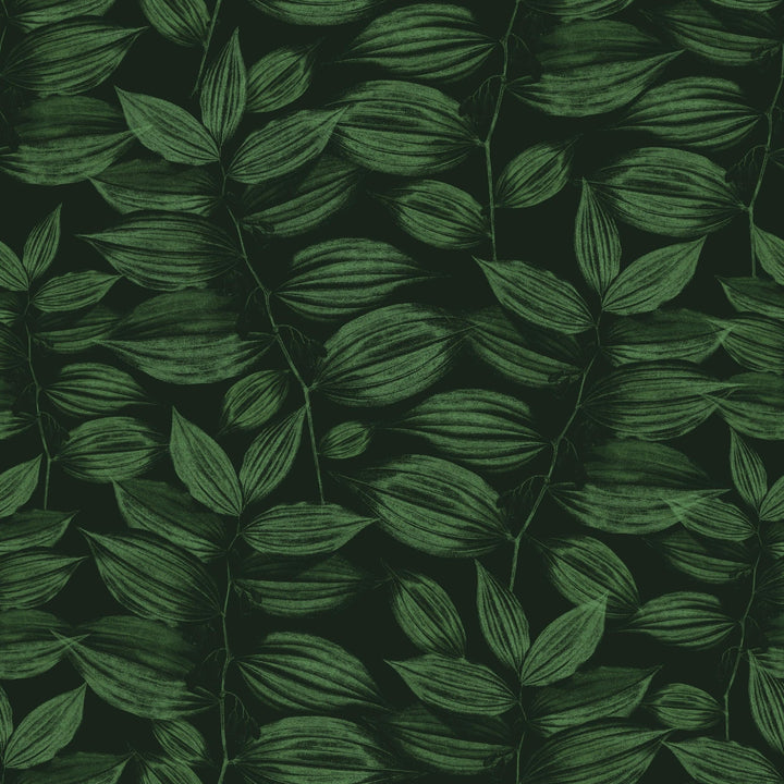 Dark Green Foliage - Tomono