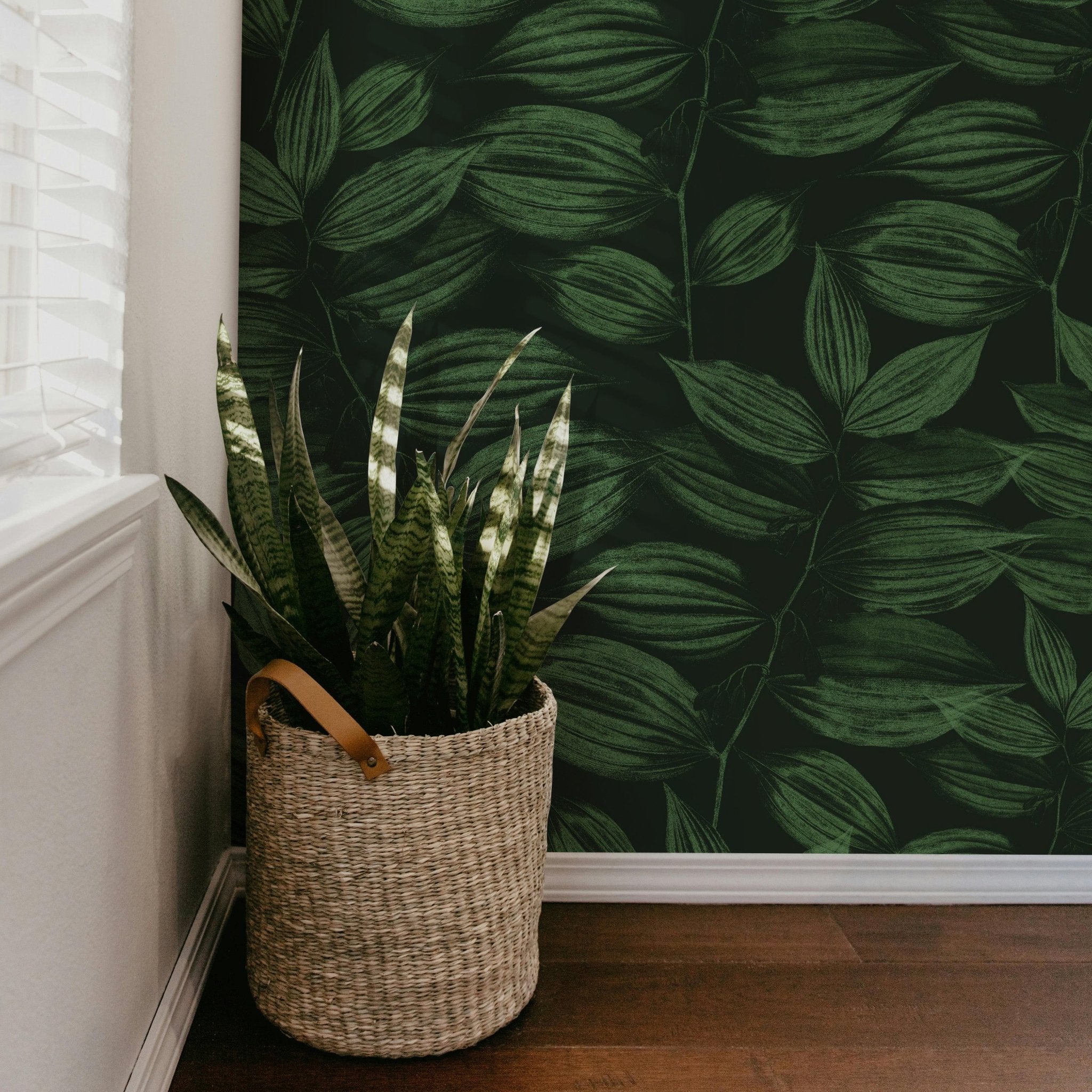 Dark Green Foliage - Tomono