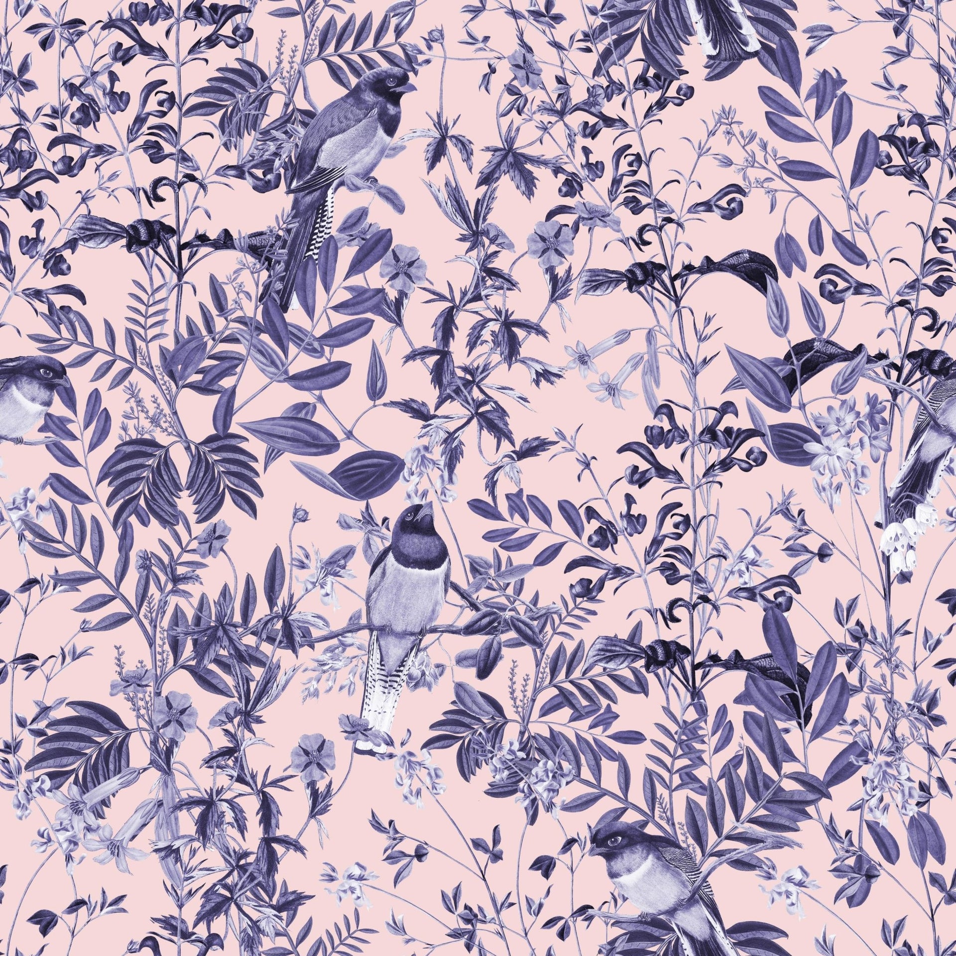 Decorative Foliage - Tomono