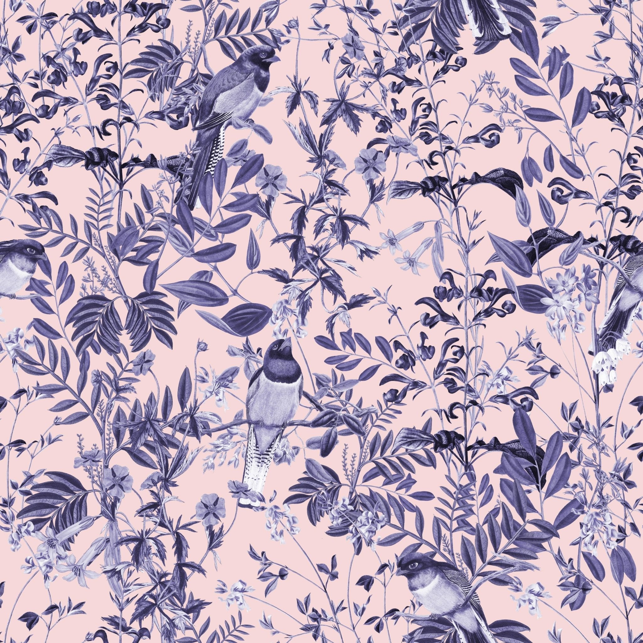 Decorative Foliage - Tomono