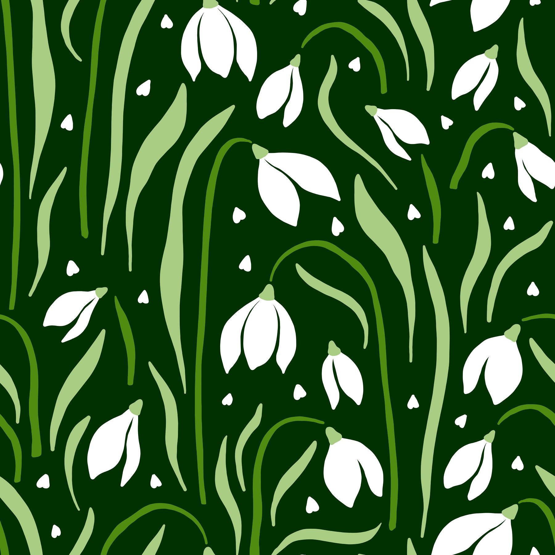 Emerald Winter Snowdrops