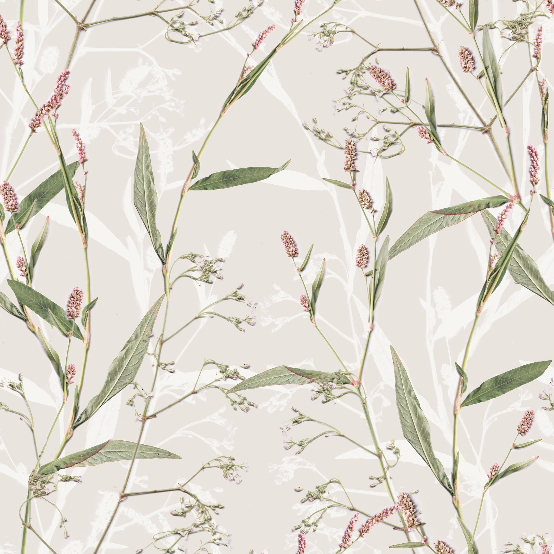 Field Plants