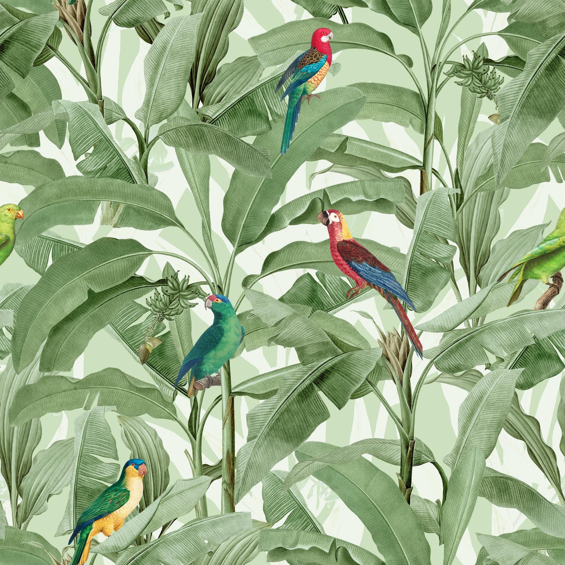 Green Jungle