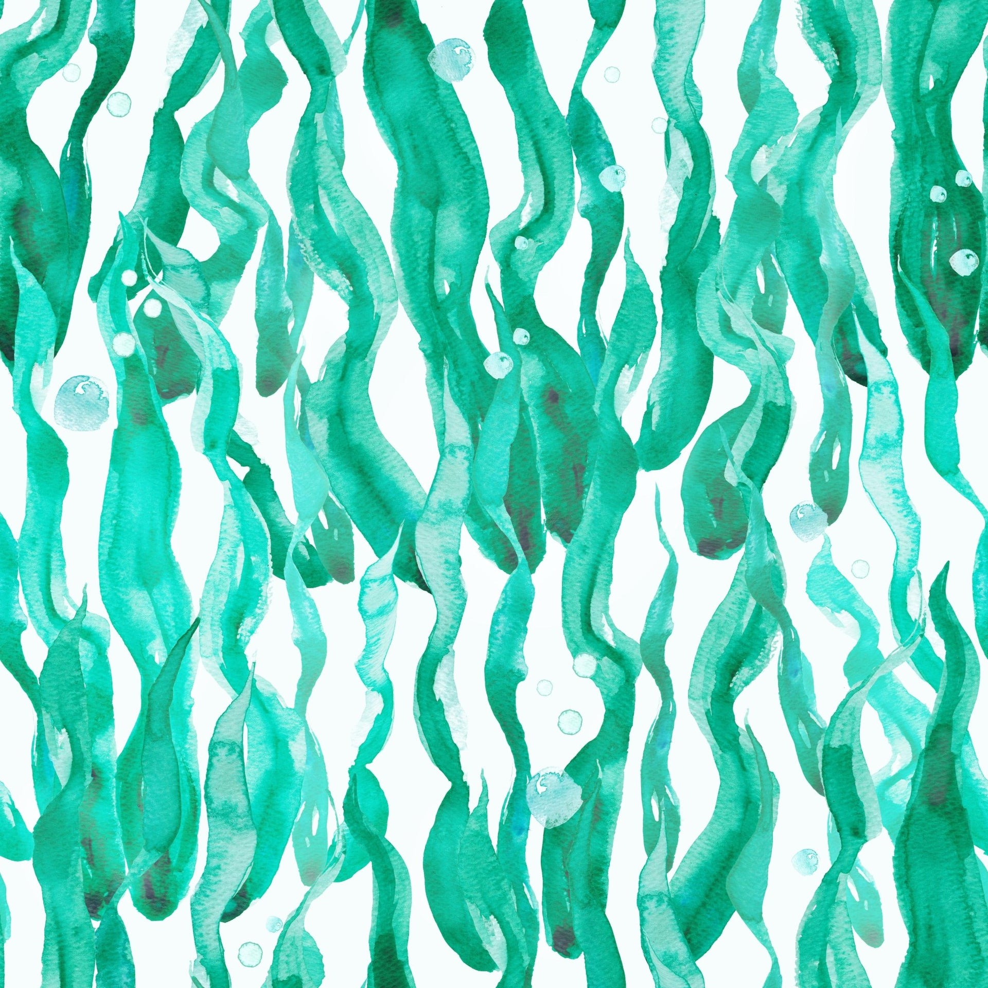 Green Sea Algae - Tomono