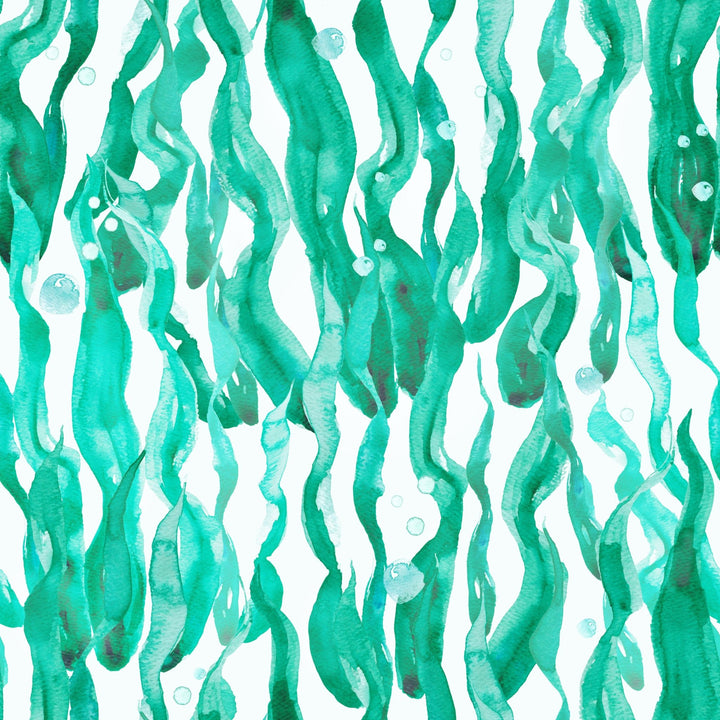 Green Sea Algae - Tomono